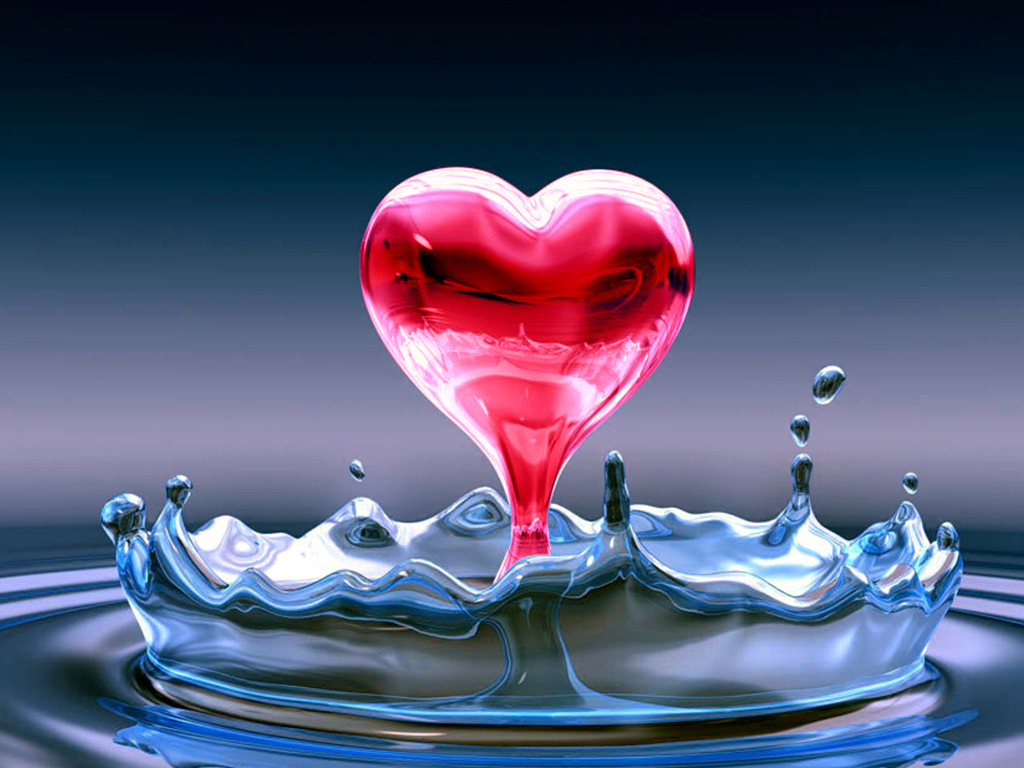 Valentine's Day Fresh HD Wallpaper, Image, Photo Free Download