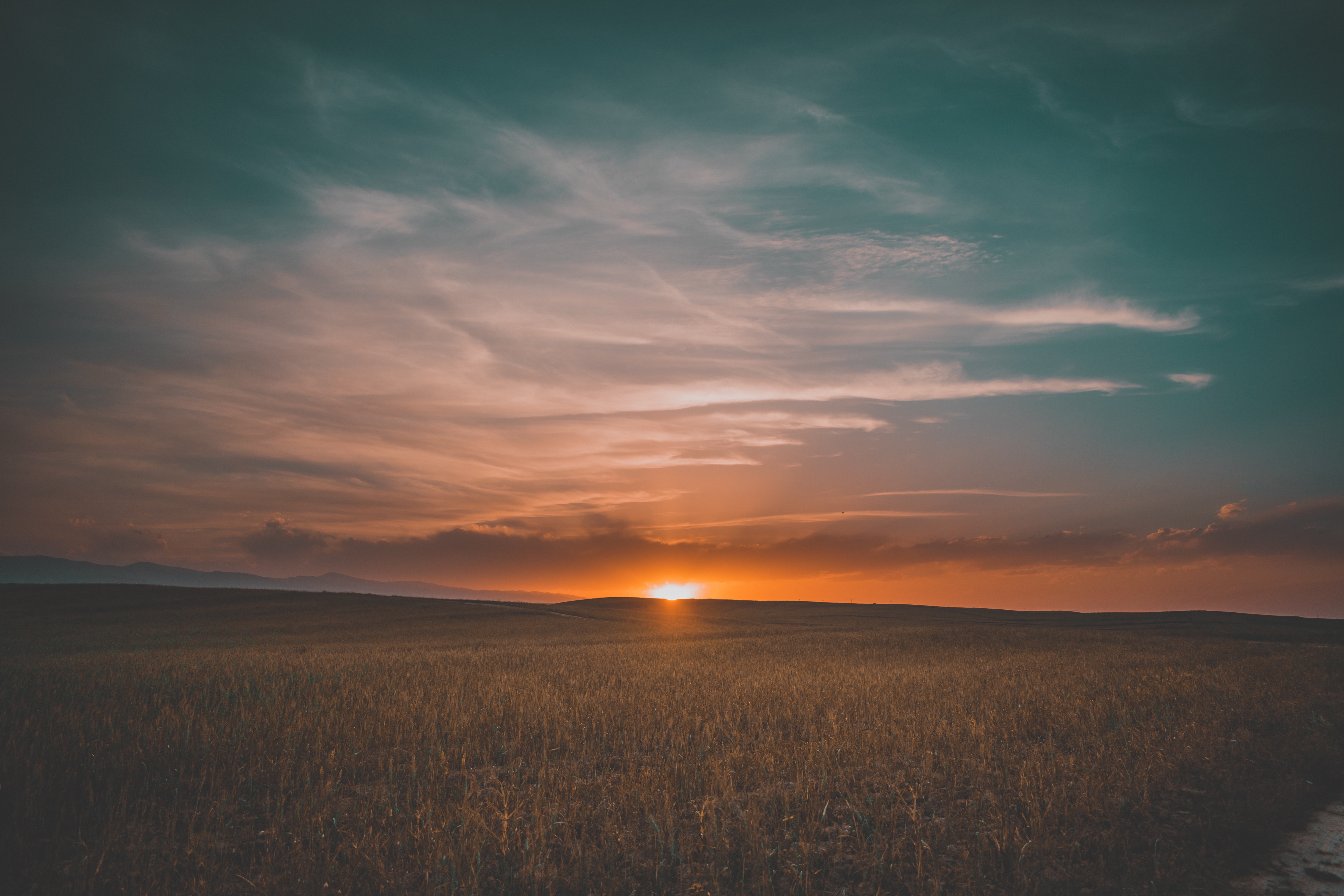 Download wallpaper 6000x4000 field, grass, sunset, sky HD background