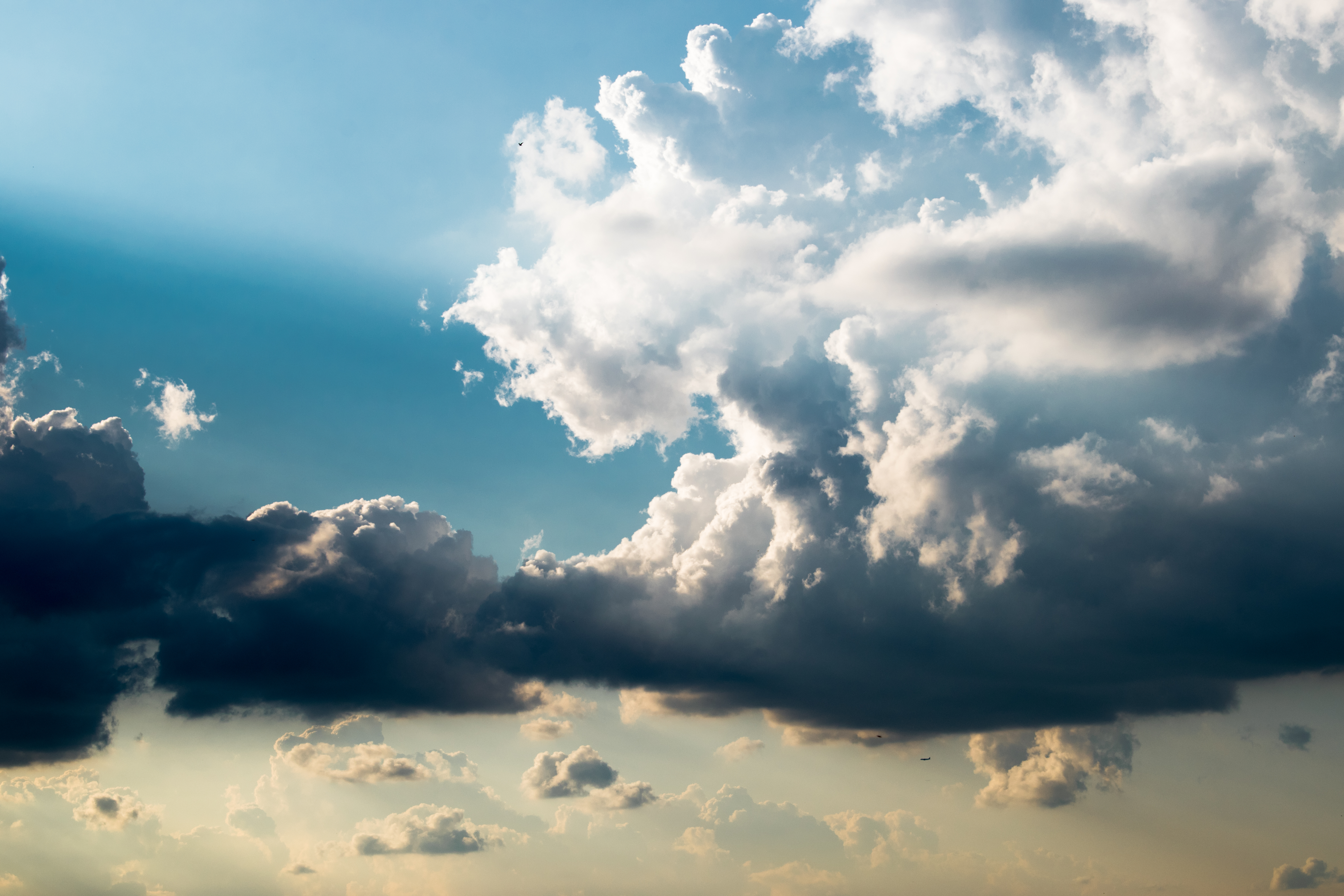 Wallpaper, 6000x4000 px, birds, clouds, sky blue 6000x4000