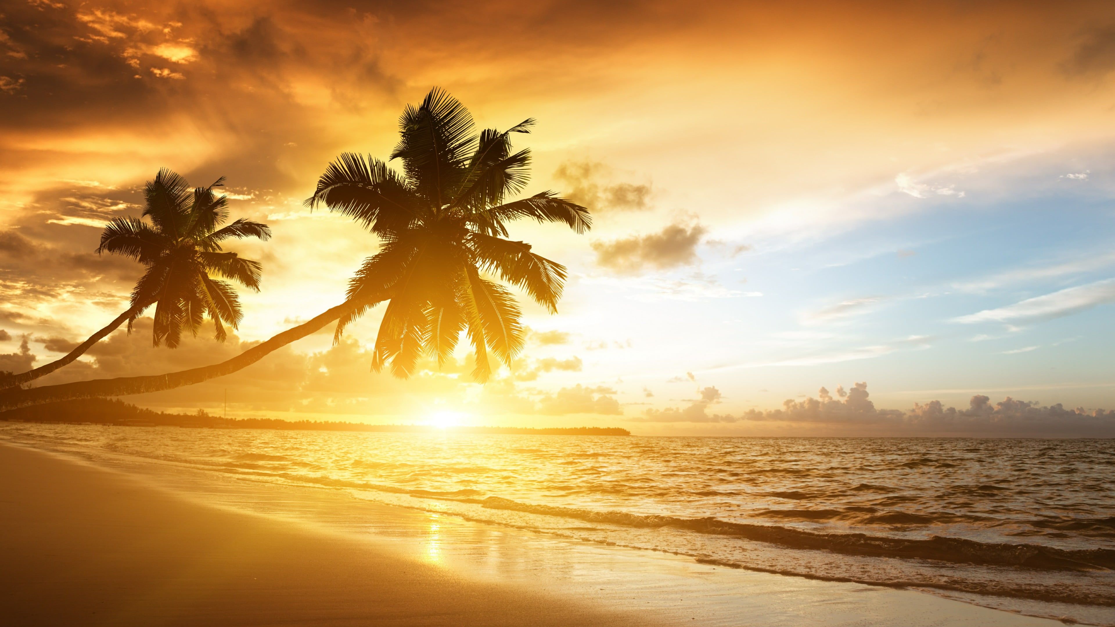 beach #kerala #india indian ocean marari beach #palms #asia #calm palm tree #sky #shore #sunlight #t. Beach sunset wallpaper, Sunset wallpaper, Sunrise wallpaper