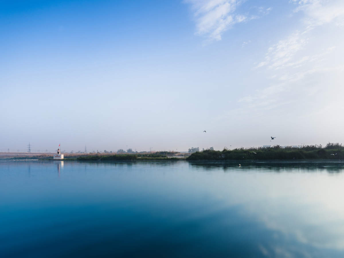 COVID 19 Impact: Delhi's Yamuna River Undergoes Makeover, Looks Cleaner During Lockdown Travel