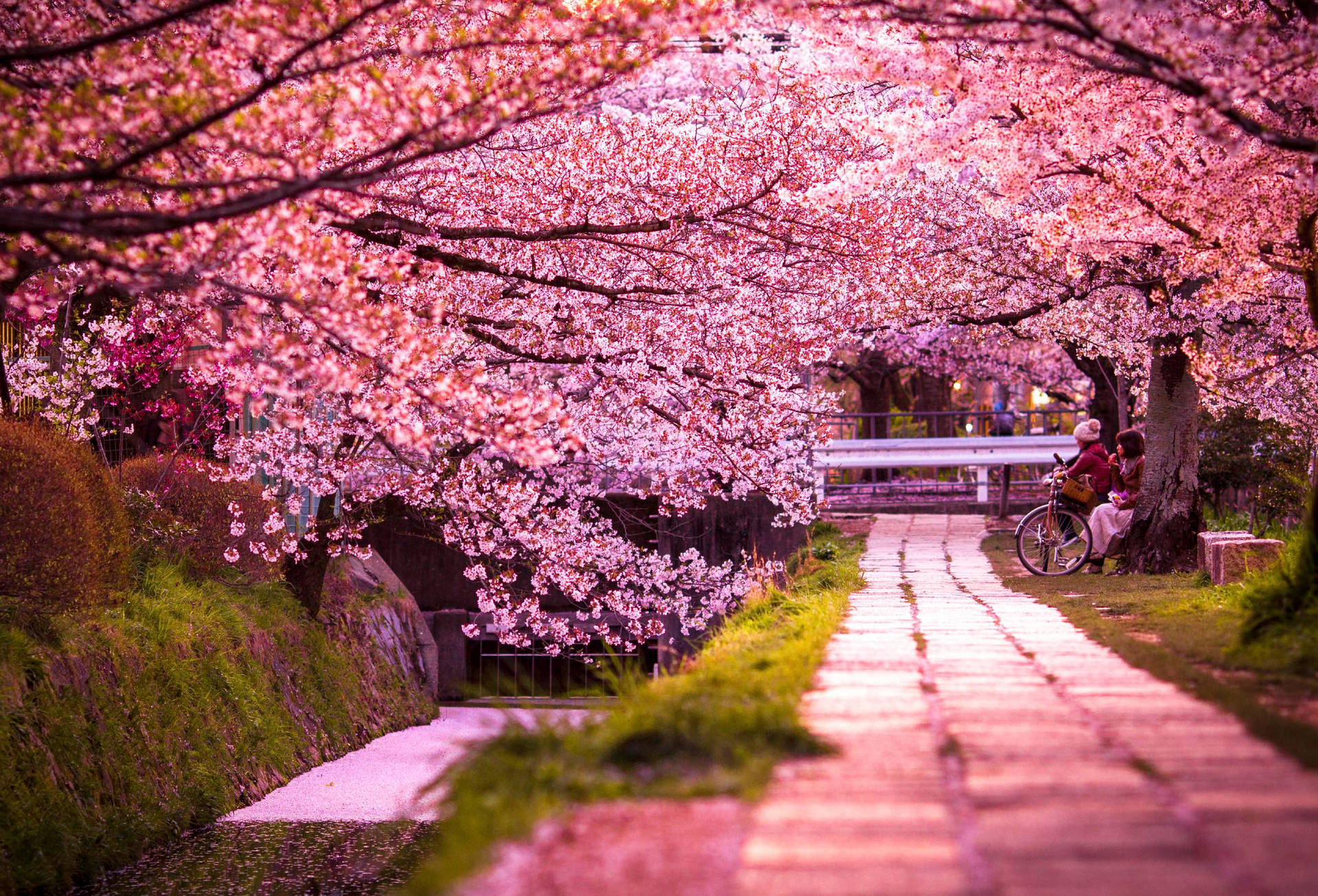 Free Kyoto Wallpaper Downloads, Kyoto Wallpaper for FREE