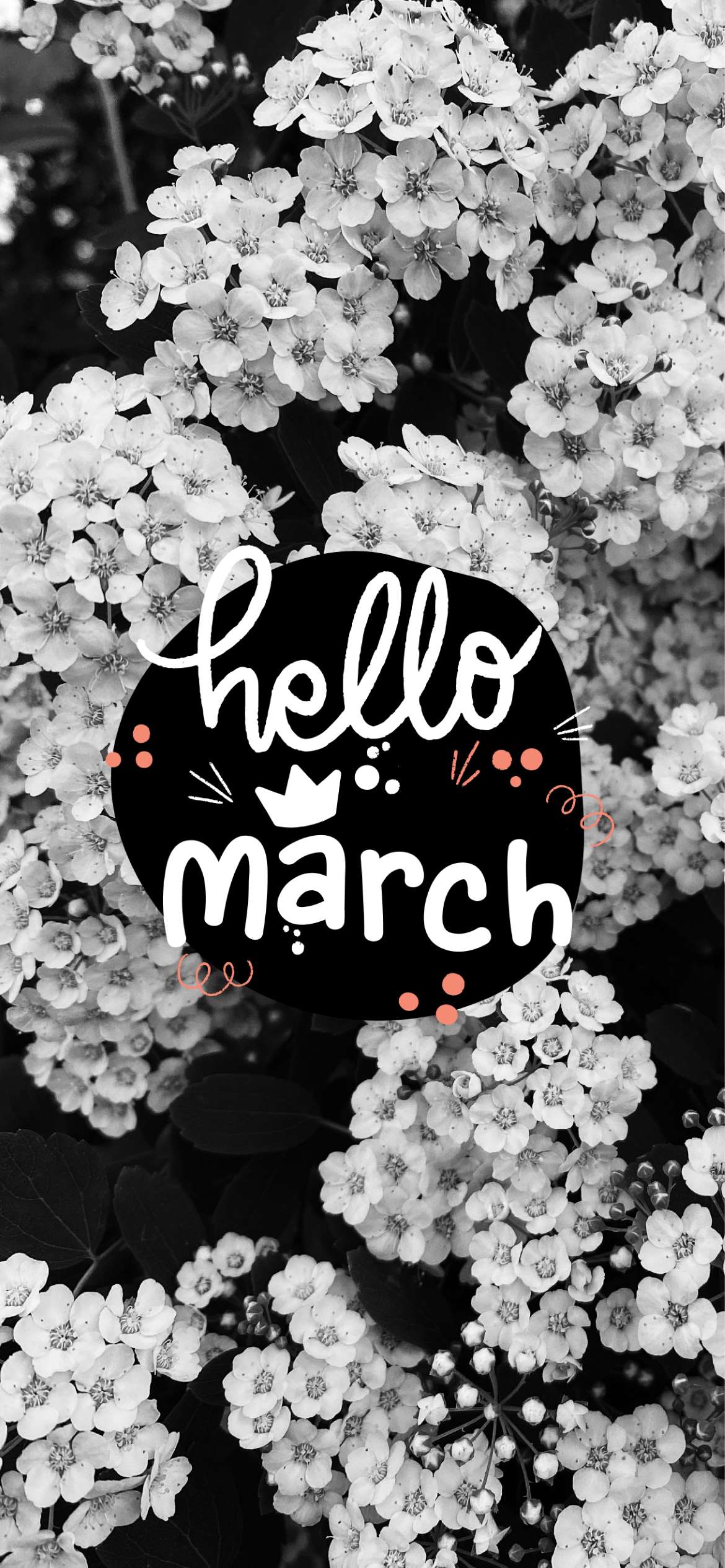 Download Say hello to the new month Wallpaper  Wallpaperscom