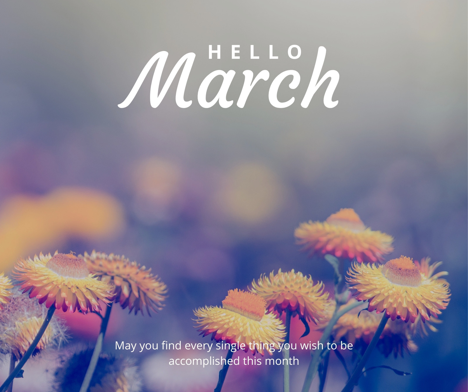 Free download Hello March Hello Spring wallpaper 850x316 for your  Desktop Mobile  Tablet  Explore 48 Hello Spring Wallpapers  Hello  Kitty Backgrounds Background Hello Kitty Hello Kitty Background