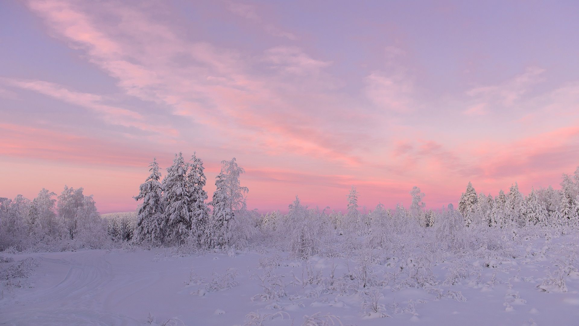 A beautiful snow wallpaper (1920x1080). Winter wallpaper desktop, Pink wallpaper pc, Winter wallpaper