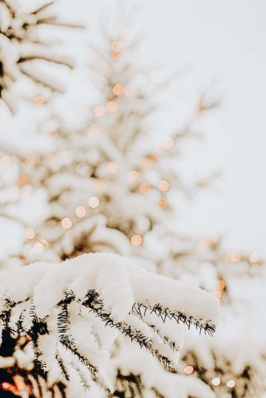 Free Winter Aesthetic Phone Wallpaper Downloads, Winter Aesthetic Phone Wallpaper for FREE