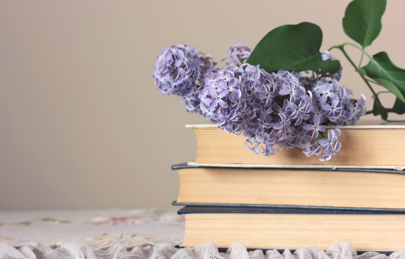 Wallpaper flowers, books, branch, spring, lilac image for desktop, section цветы