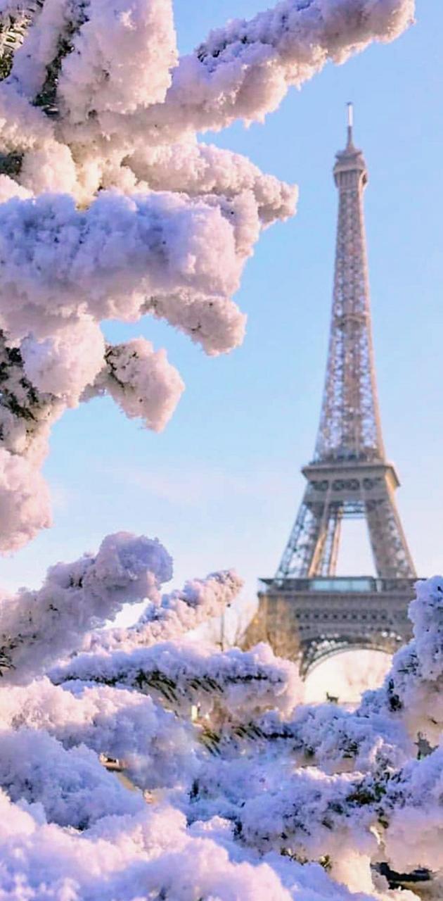 Spring in Paris wallpaper