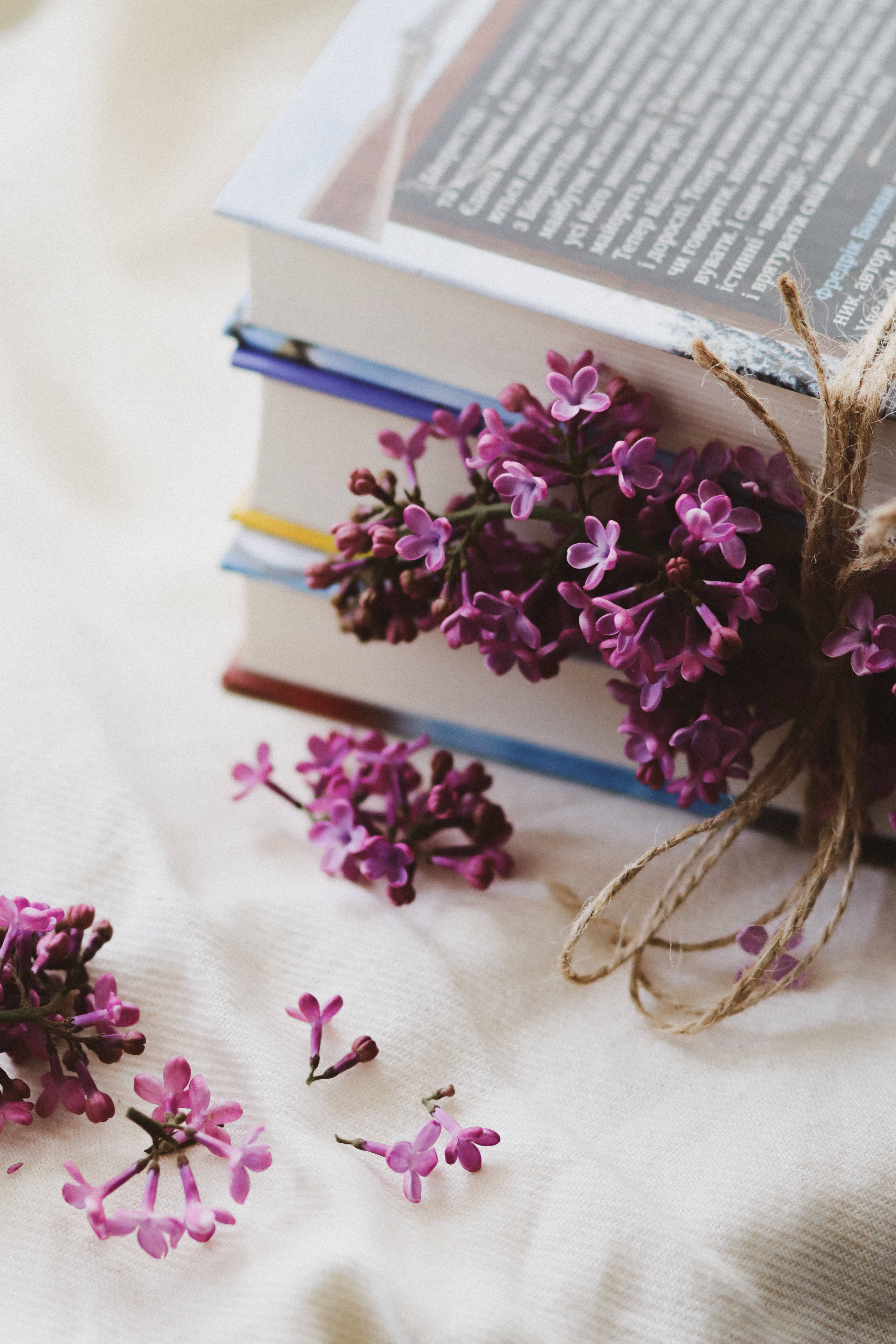 Download Lilac Aesthetic Book Desktop Wallpaper