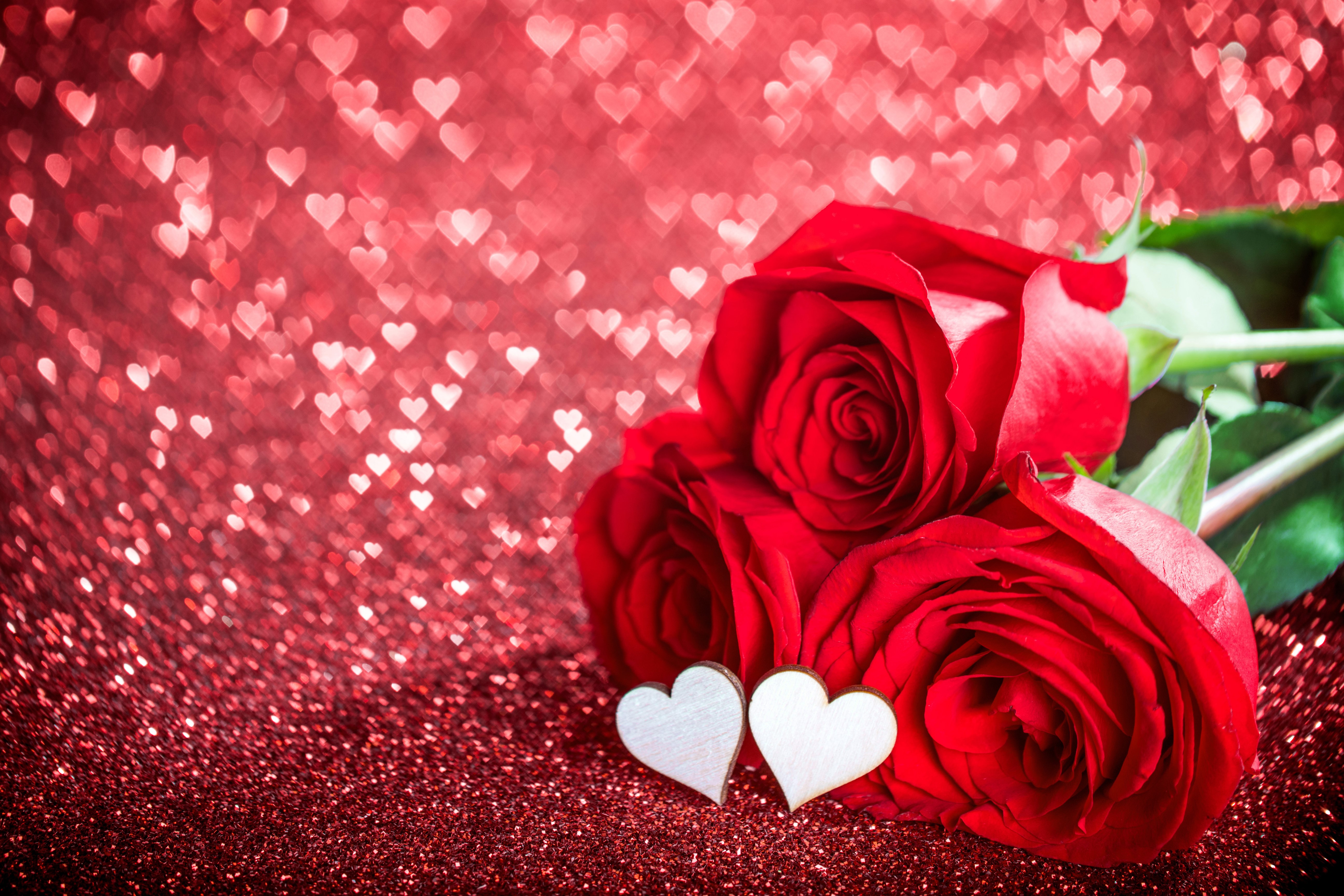 4K, 5K, Valentine's Day, Roses, Closeup, Red, Three 3, Heart Gallery HD Wallpaper