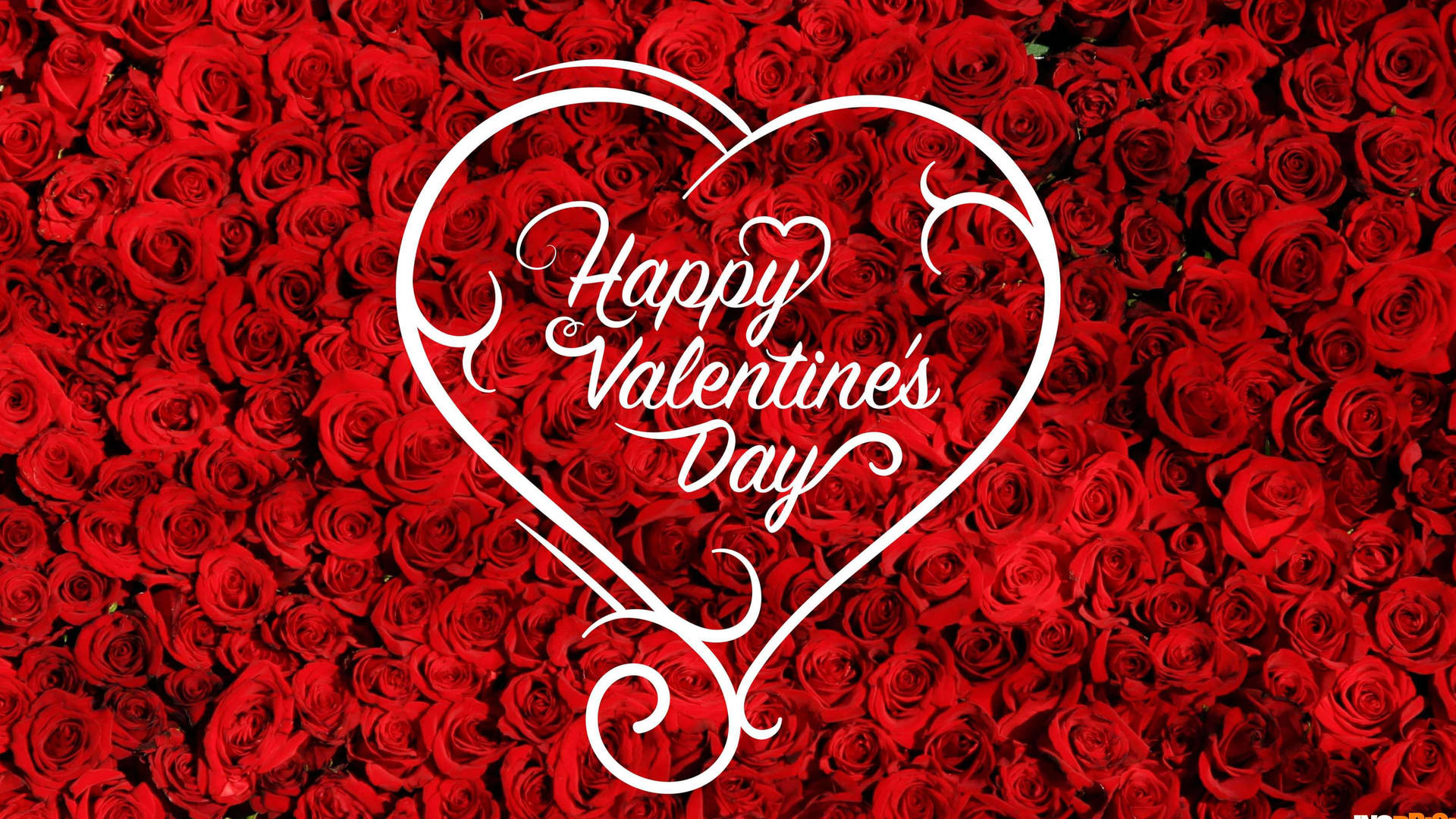 Download Happy Valentine's Day Red Roses Desktop Wallpaper