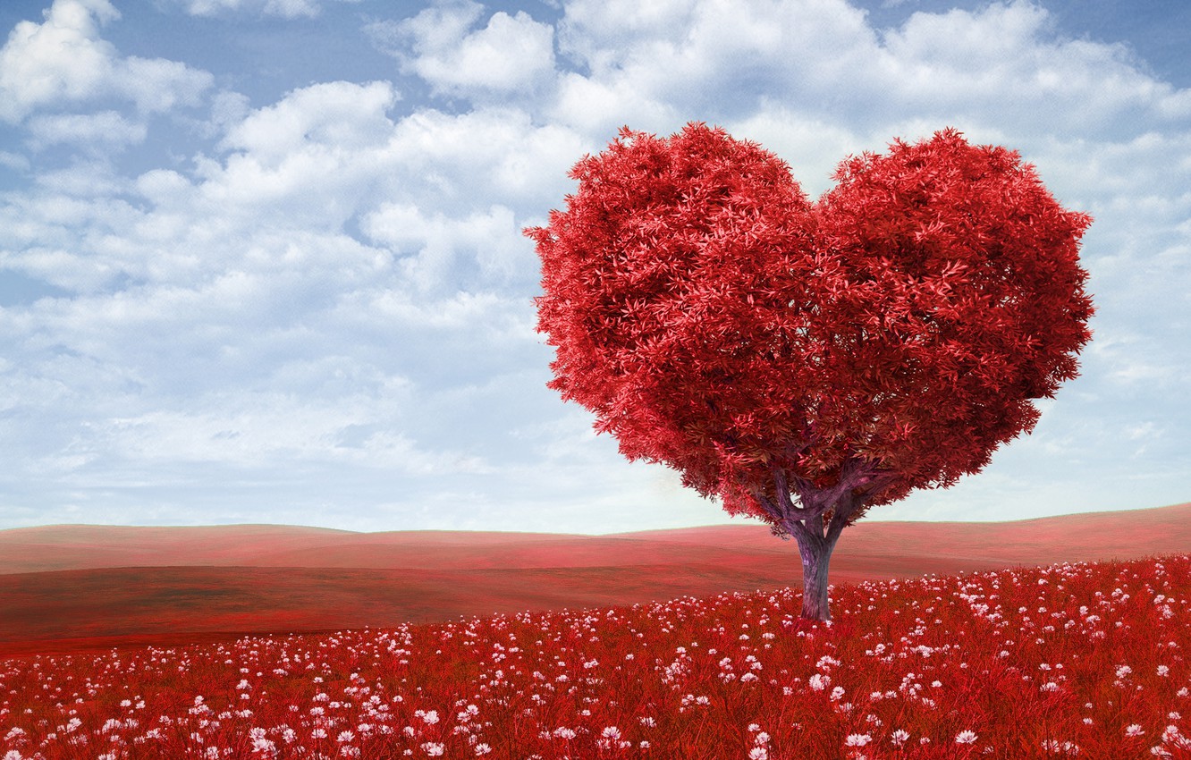 Wallpaper field, the sky, clouds, love, flowers, tree, romance, heart, love, Valentine's day, sky, field, heart, flowers, clouds, tree image for desktop, section настроения