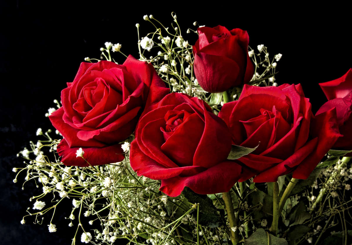 Why Are Roses So Expensive During Valentine's Day?