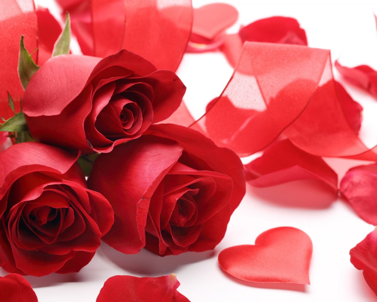 Happy valentines day Red Rose Love Wallpaper HD, Wallpaper13.com