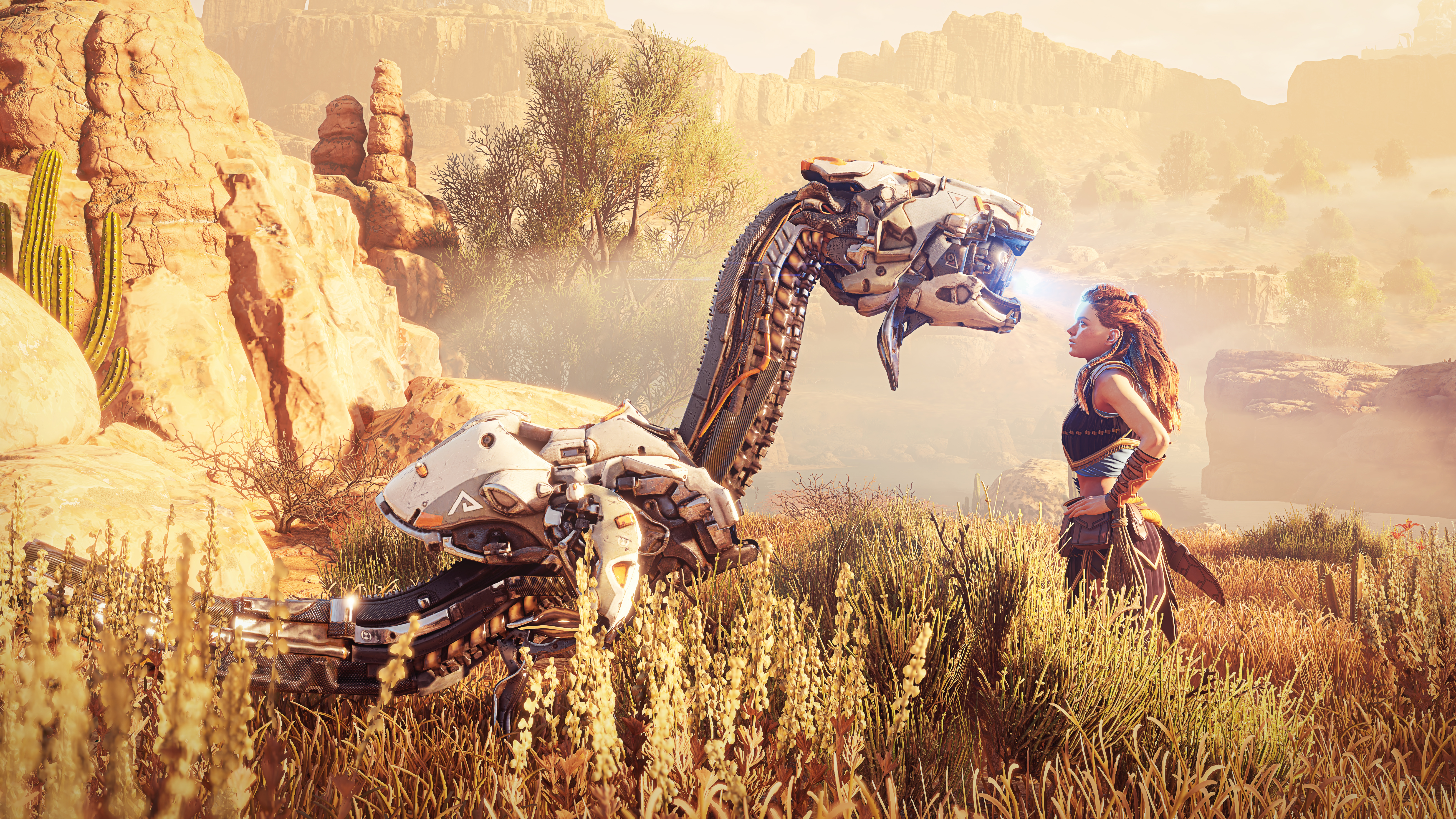 Wallpaper 4k Aloy Horizon Zero Dawn 2021 4k Wallpaper