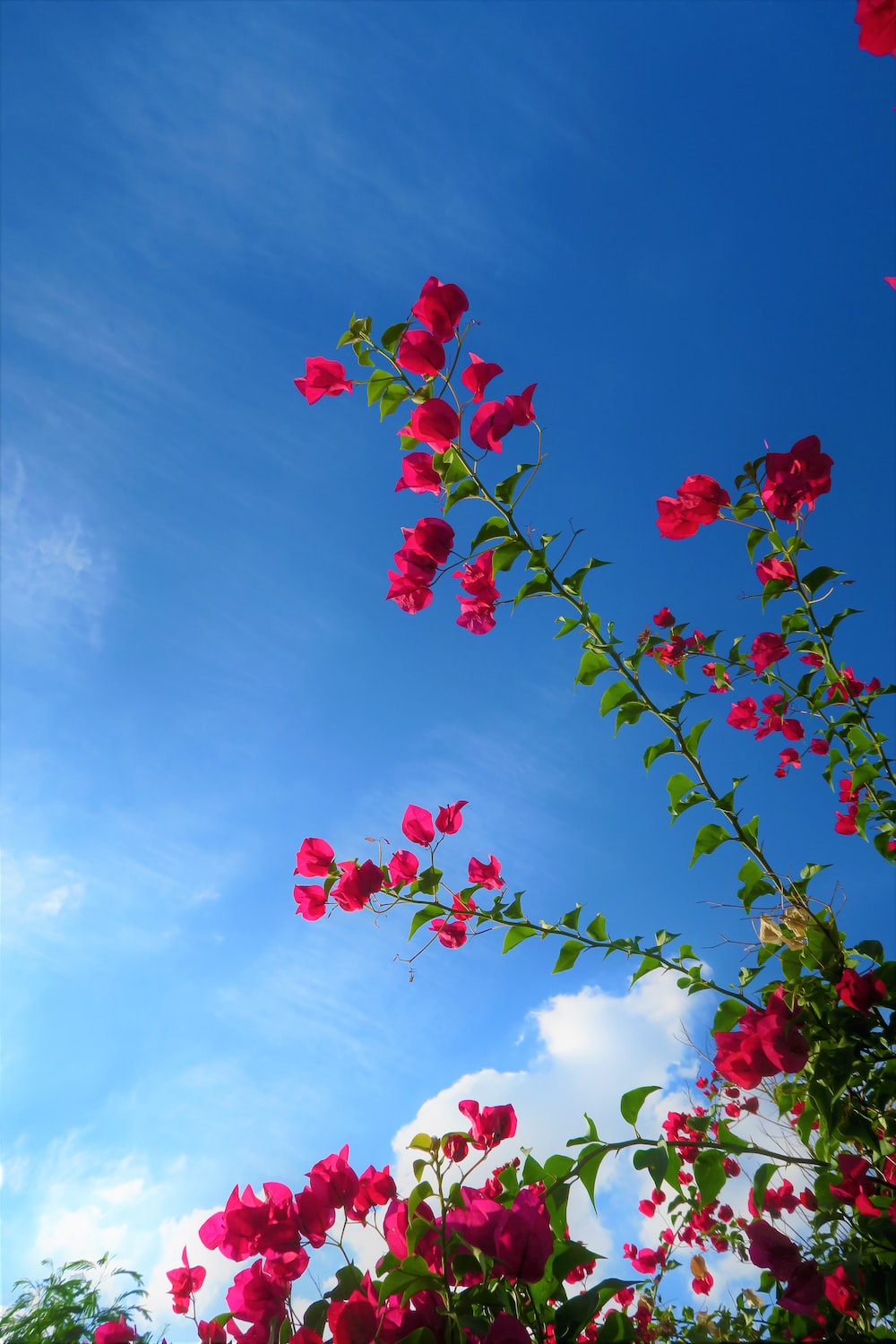 Spring Sky Picture. Download Free Image