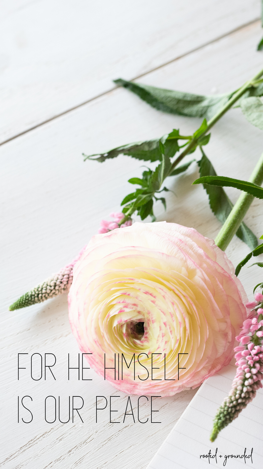 Pretty Christian iPhone Wallpaper. Download Our Collection for Free!