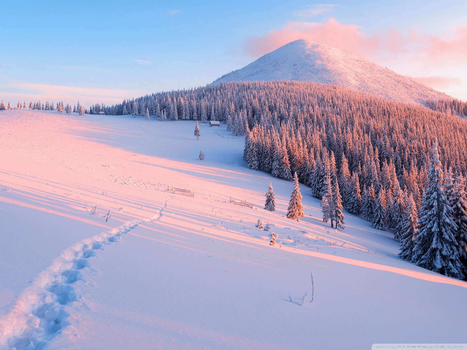 Winter, Nature Ultra HD Desktop Background Wallpaper for: Widescreen & UltraWide Desktop & Laptop, Multi Display, Dual Monitor, Tablet