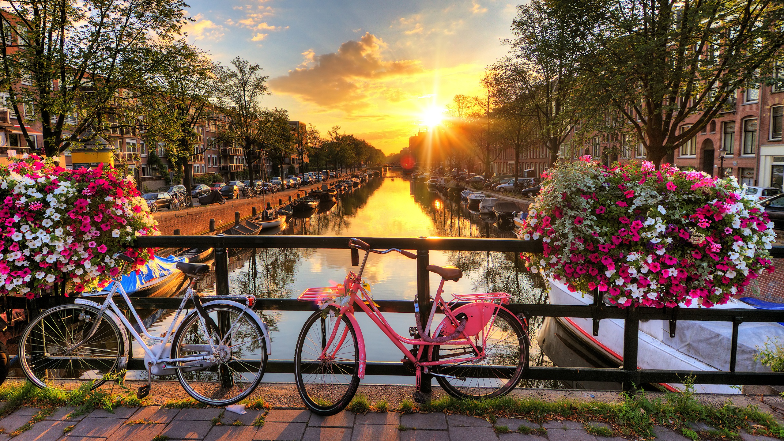 Image Amsterdam Netherlands Bicycle Sun Bridges Sunrises 2560x1440