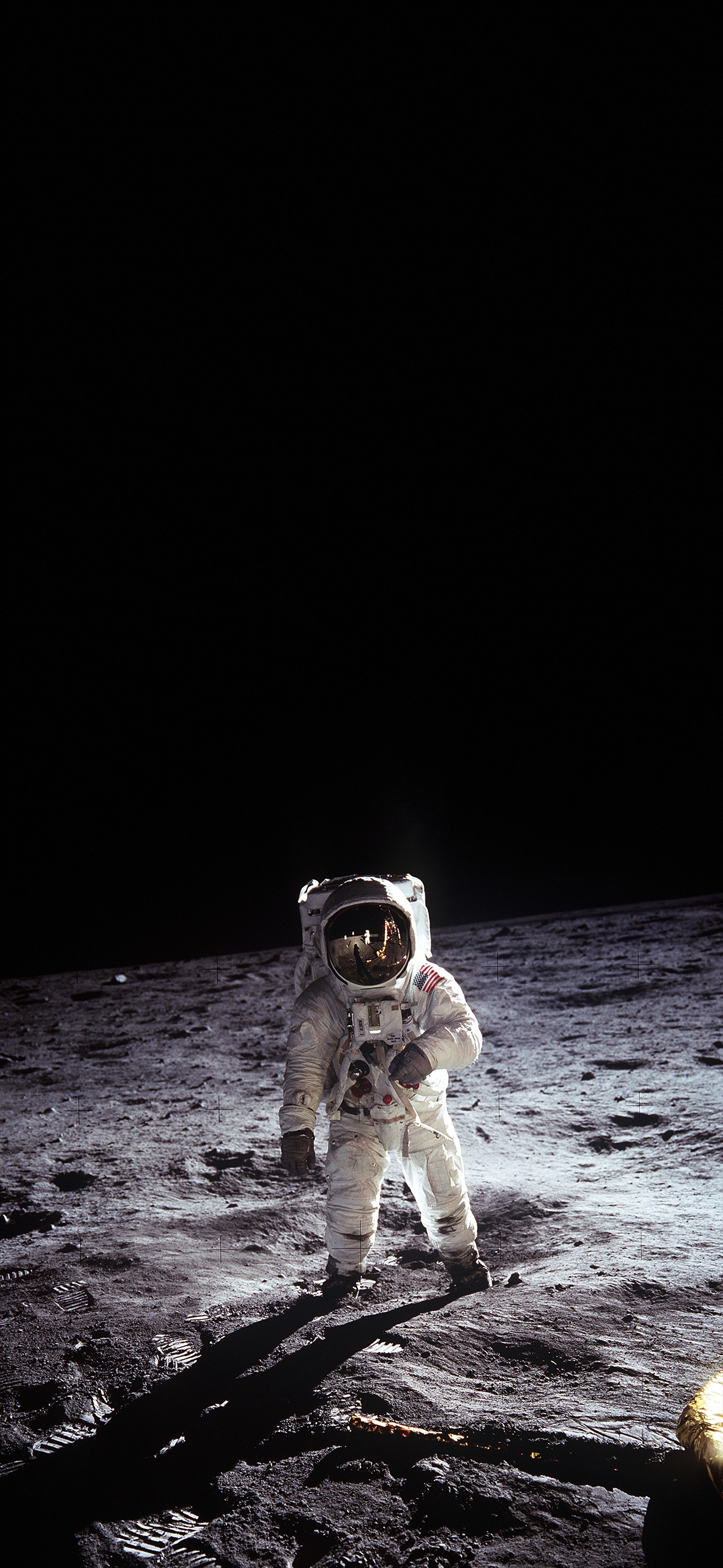Wallpaper, astronaut, Moon, USA, space 1440x3120