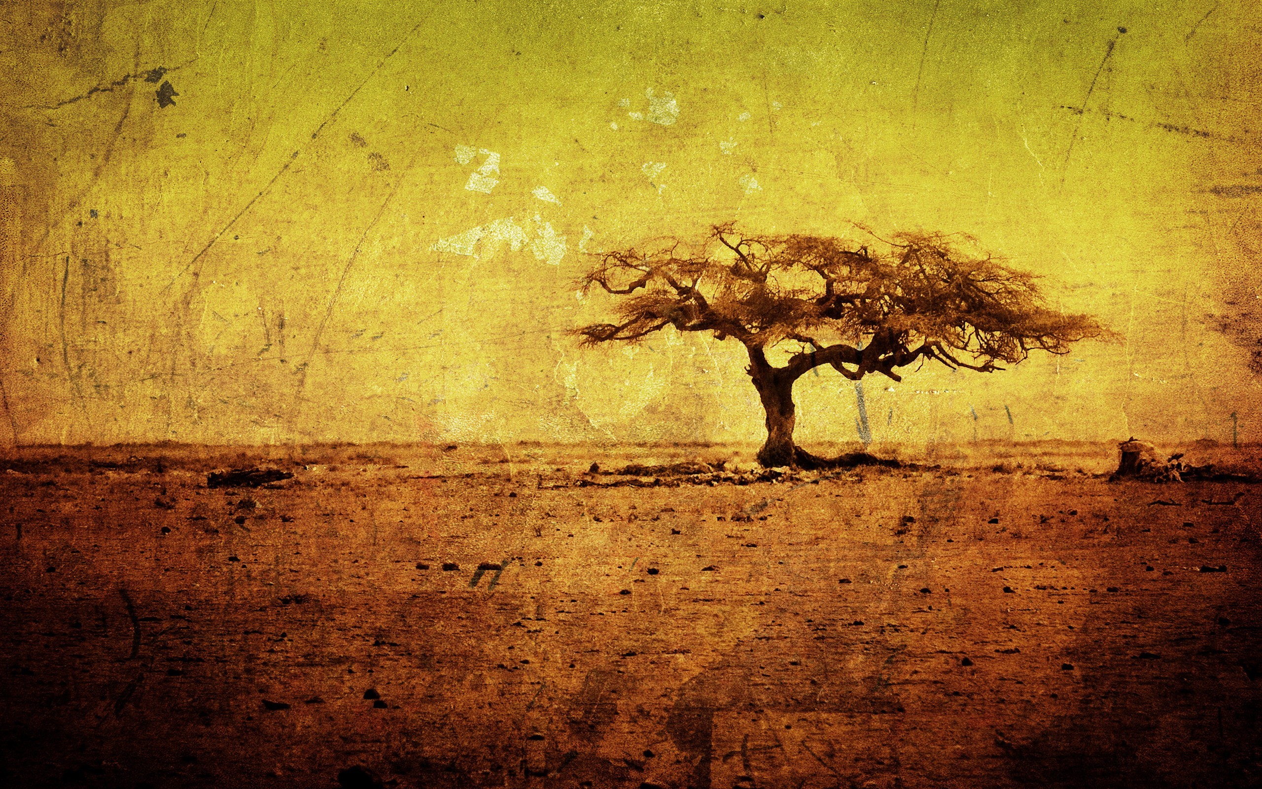 trees, landscape, grunge, nature, photo manipulation Gallery HD Wallpaper