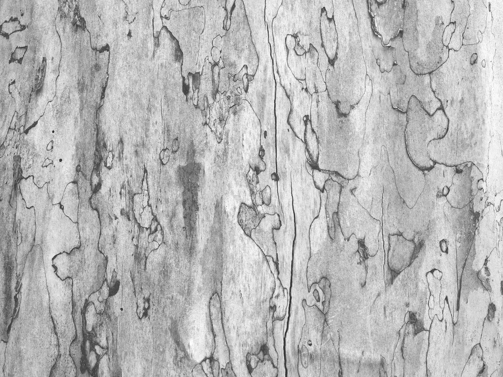 Tree bark