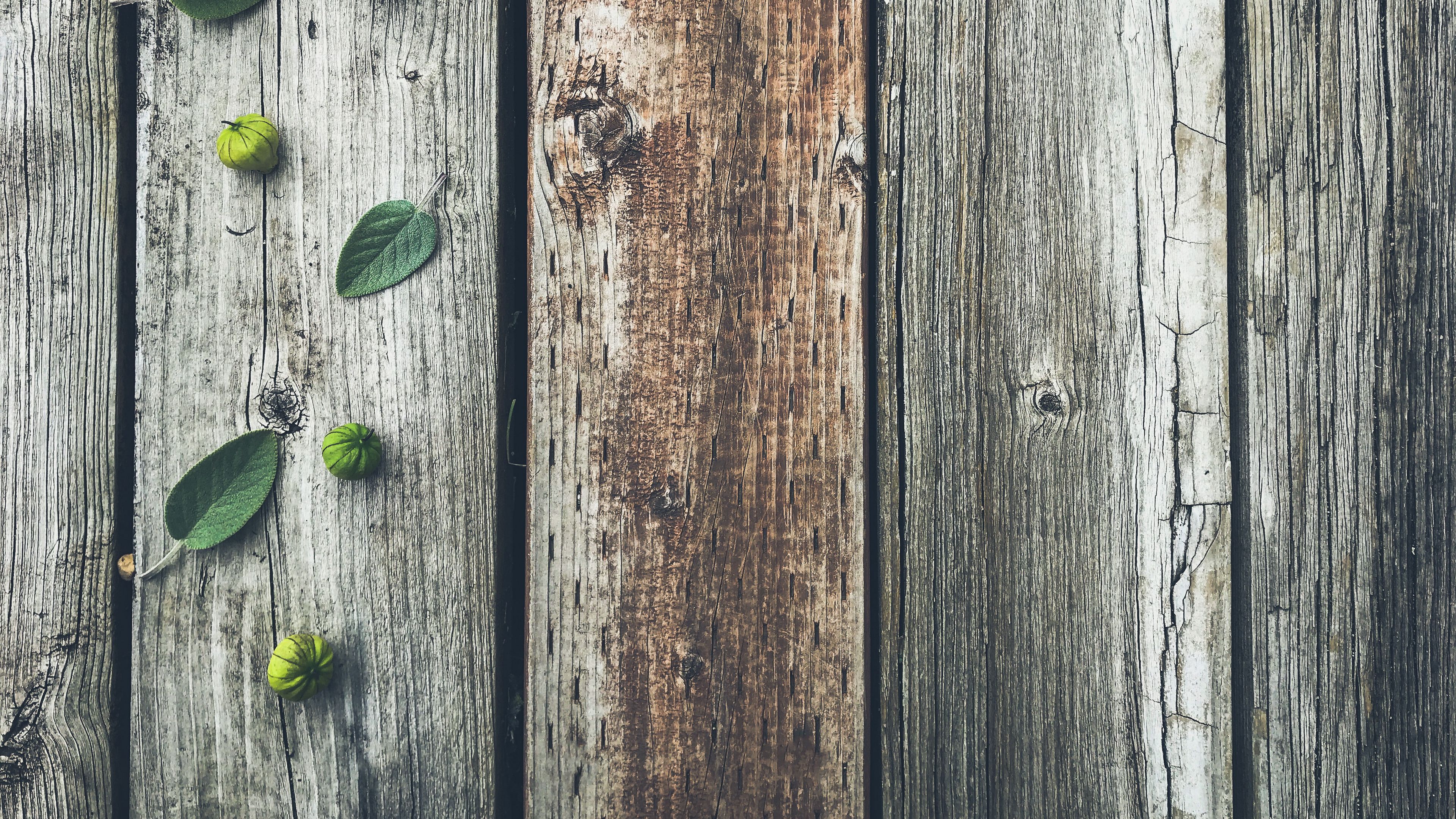 Download wallpaper 3840x2160 fruits, leaves, boards, tree, wooden 4k uhd 16:9 HD background