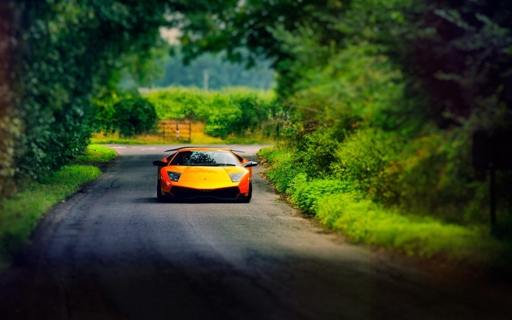 Lamborghini Murcielago Road Car