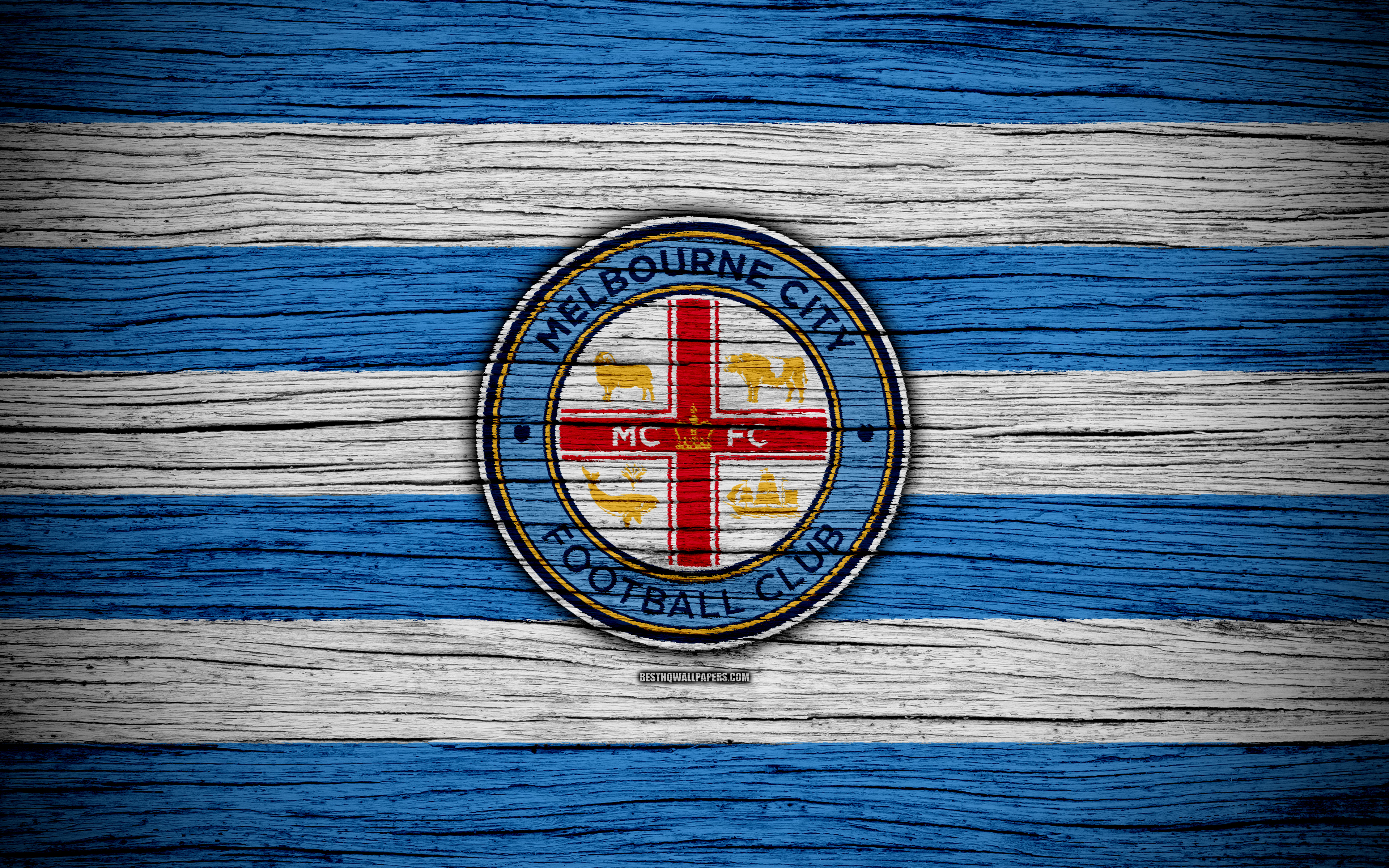 Melbourne City FC HD Wallpaper and Background