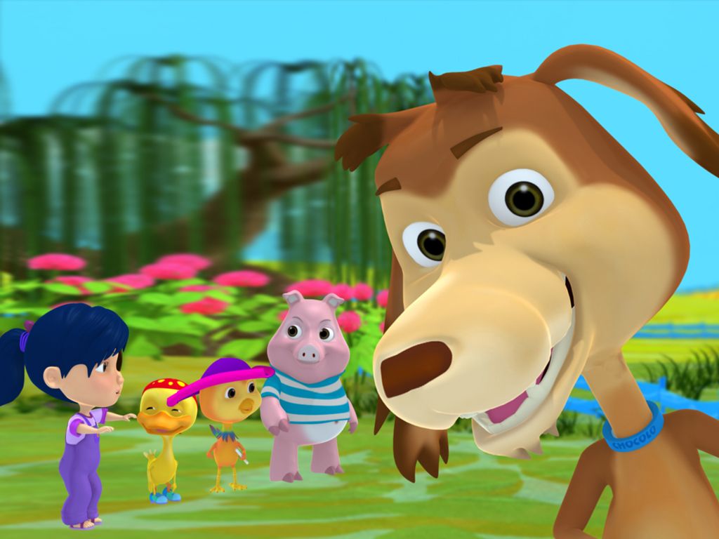 Perro chocolo, Perro chocolo cumpleaños, Perros