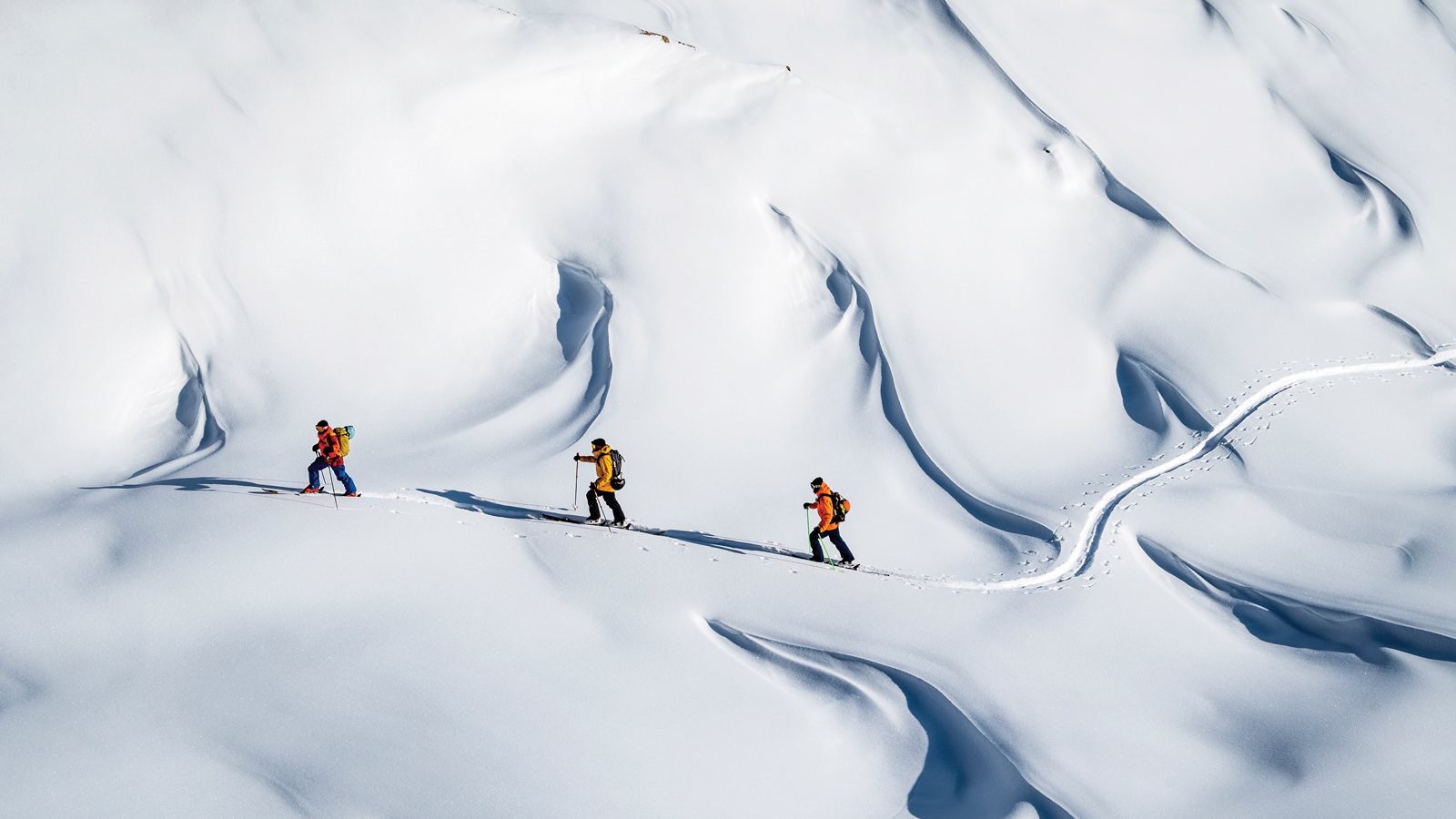 Alpinist Rising