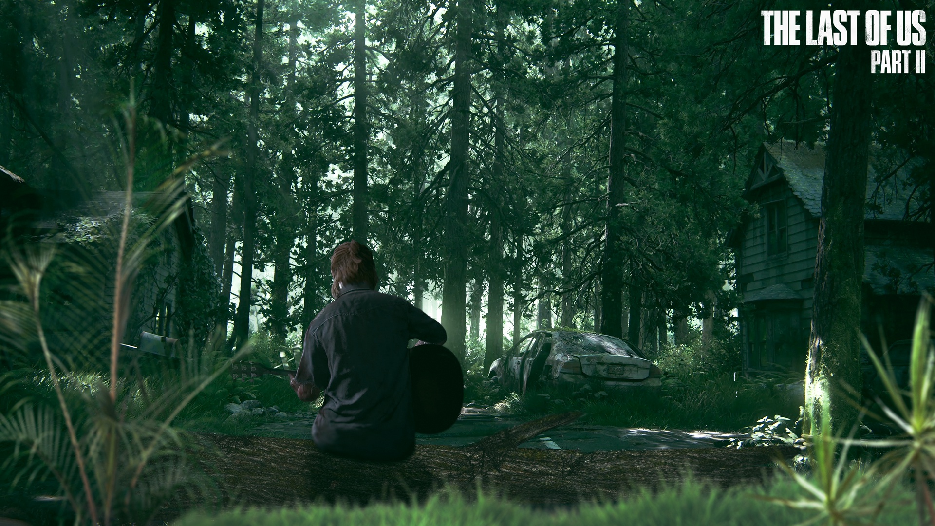 The Last of Us Part II HD Wallpaper