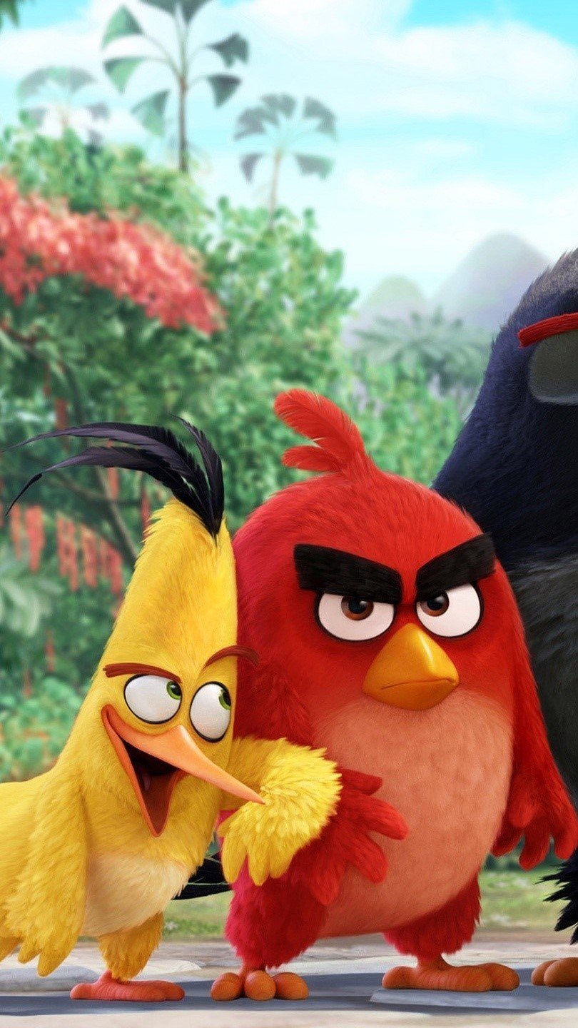 Angry Birds characters Wallpaper 2k Quad HD
