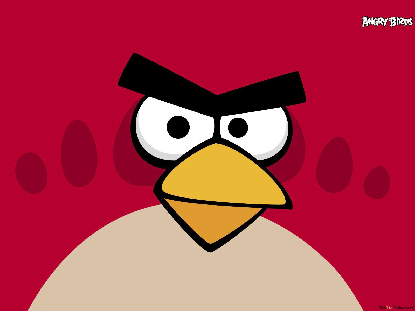 Angry Birds fat bird HD wallpaper download