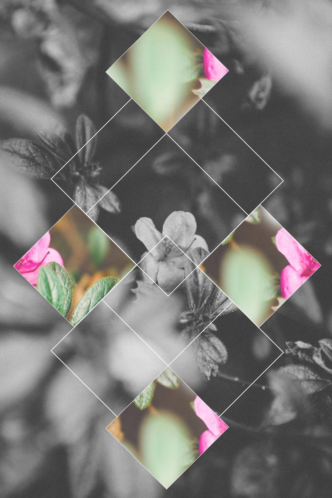 Geometric Floral Wallpaper