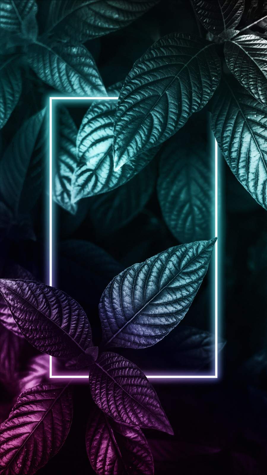 Neon Plants Foliage Nature Wallpaper, iPhone Wallpaper