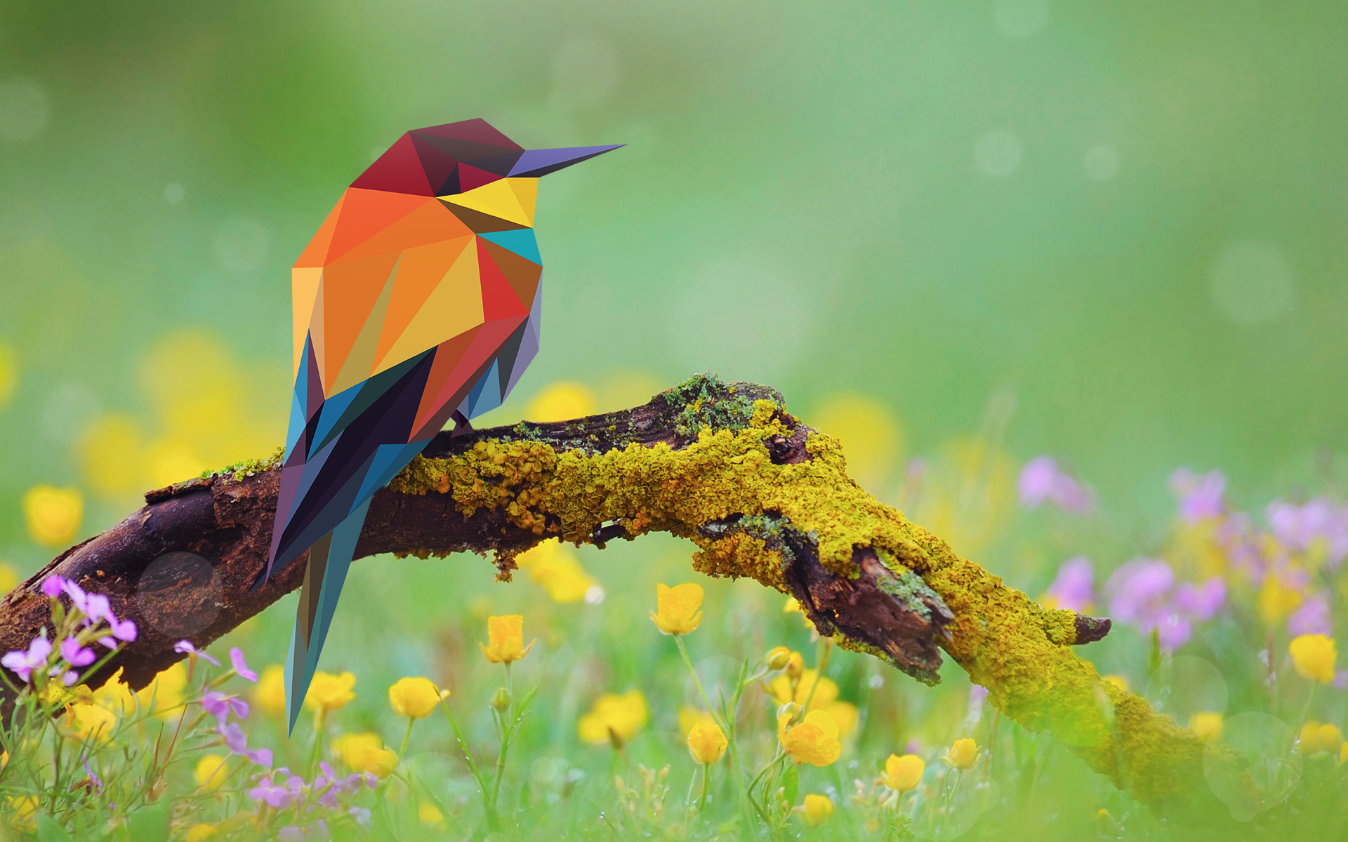 Geometric Bird Wallpaper