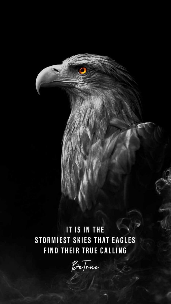 Music ON World OFF IPhone Wallpaper Wallpaper, iPhone Wallpaper. Eagles quotes, Wallpaper iphone quotes, Eagle wallpaper