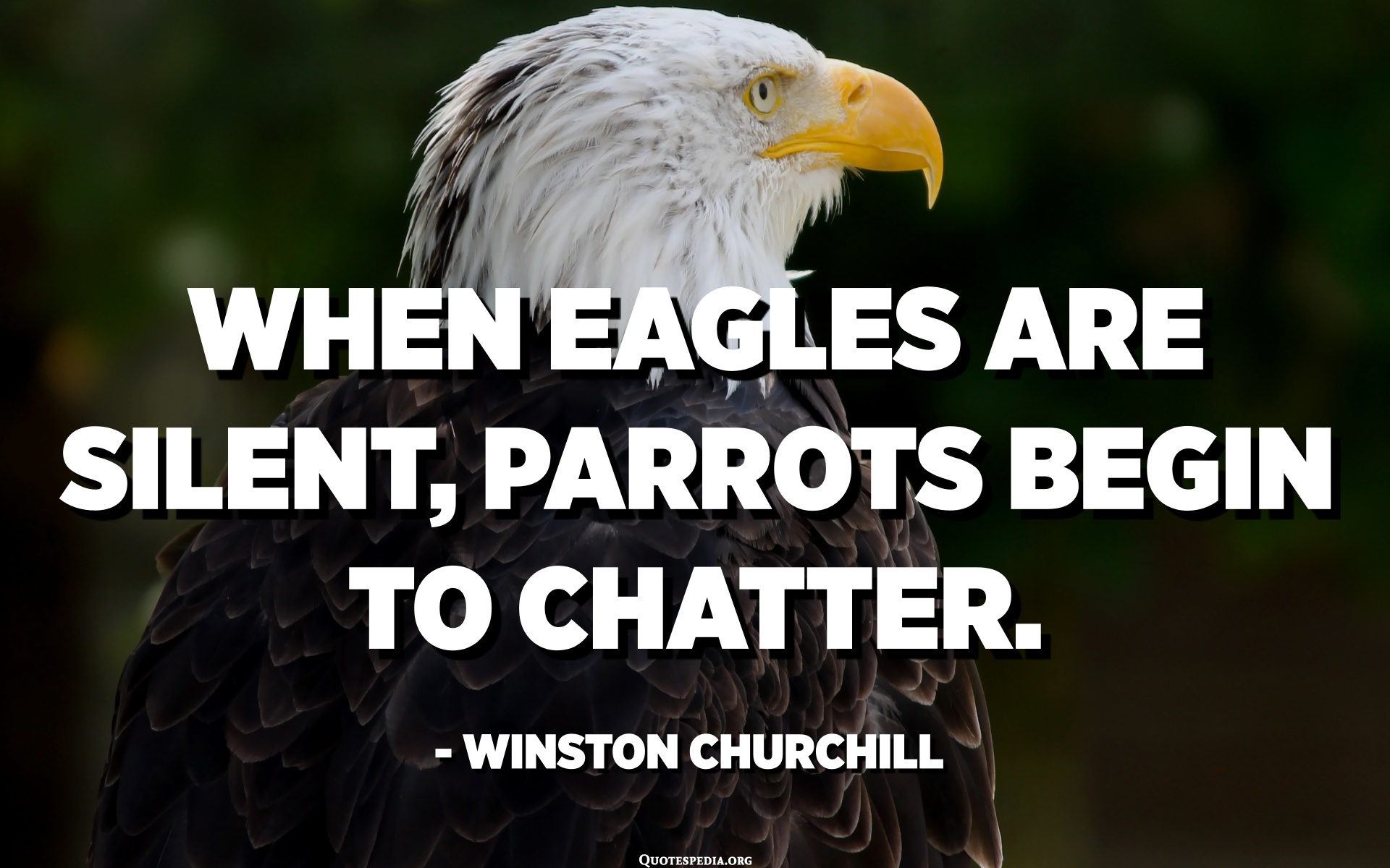 When eagles are silent, parrots begin to chatter
