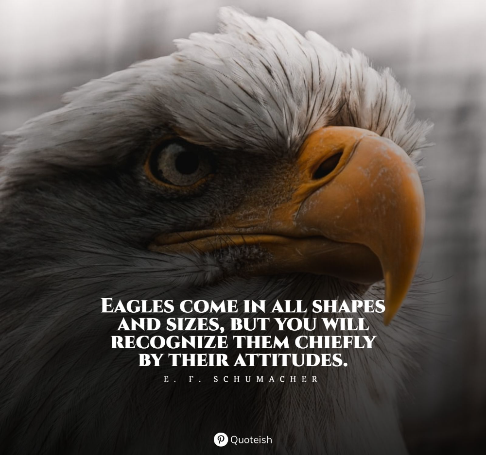 Eagle Quotes And Sayings. Eagles quotes, Tough love quotes, Inspirational quotes with image