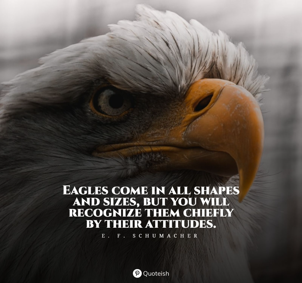 Eagle Quotes Wallpapers - Wallpaper Cave