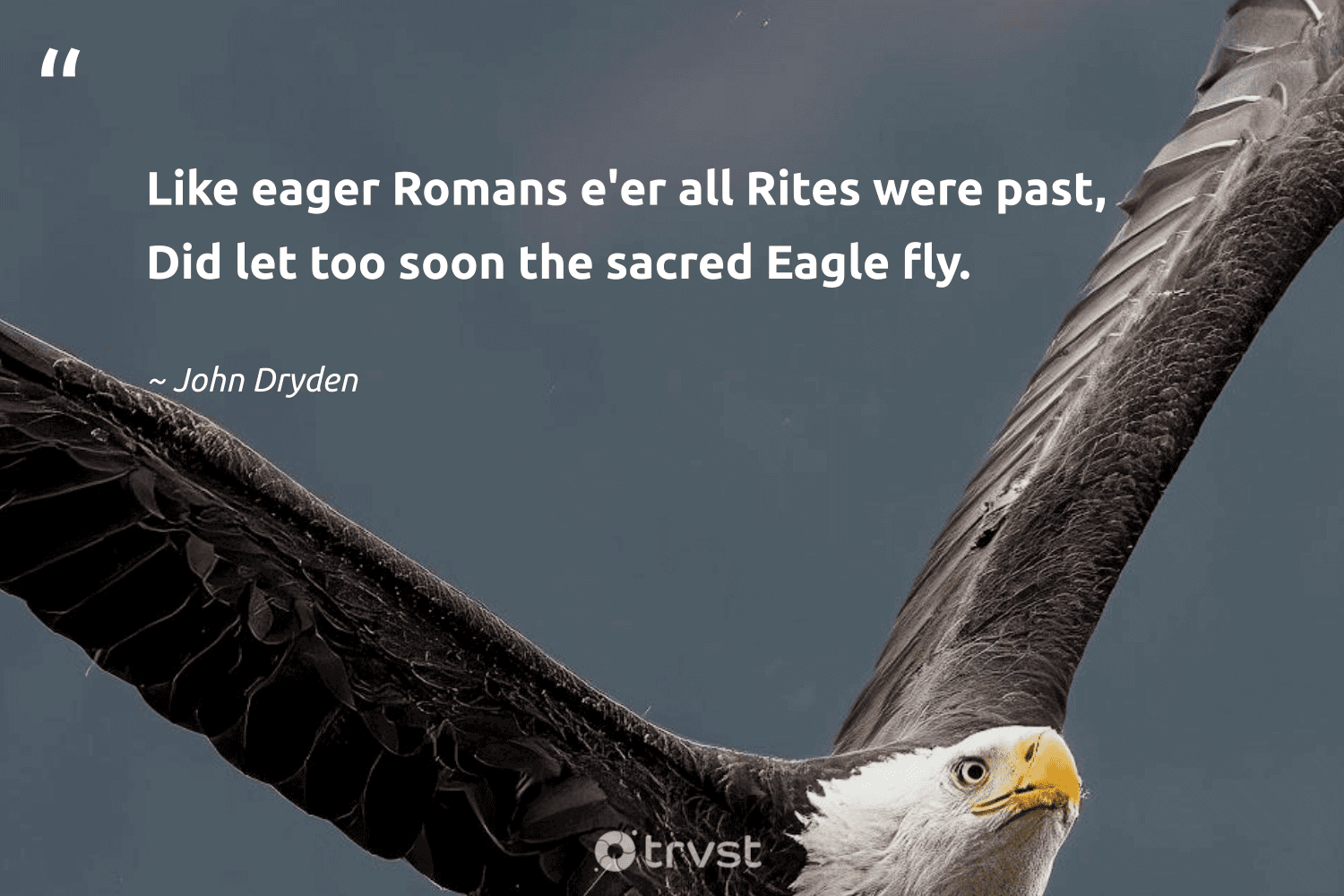 Eagle Quotes That Can Help You Conquer