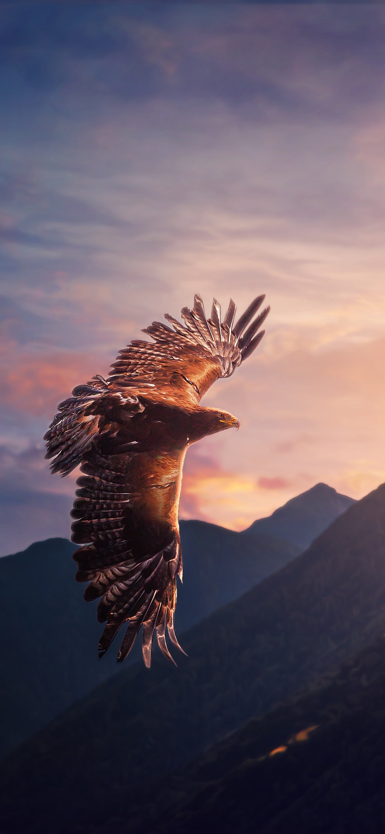 Eagle Wallpaper 4K, Sunset, Mountains, Animals
