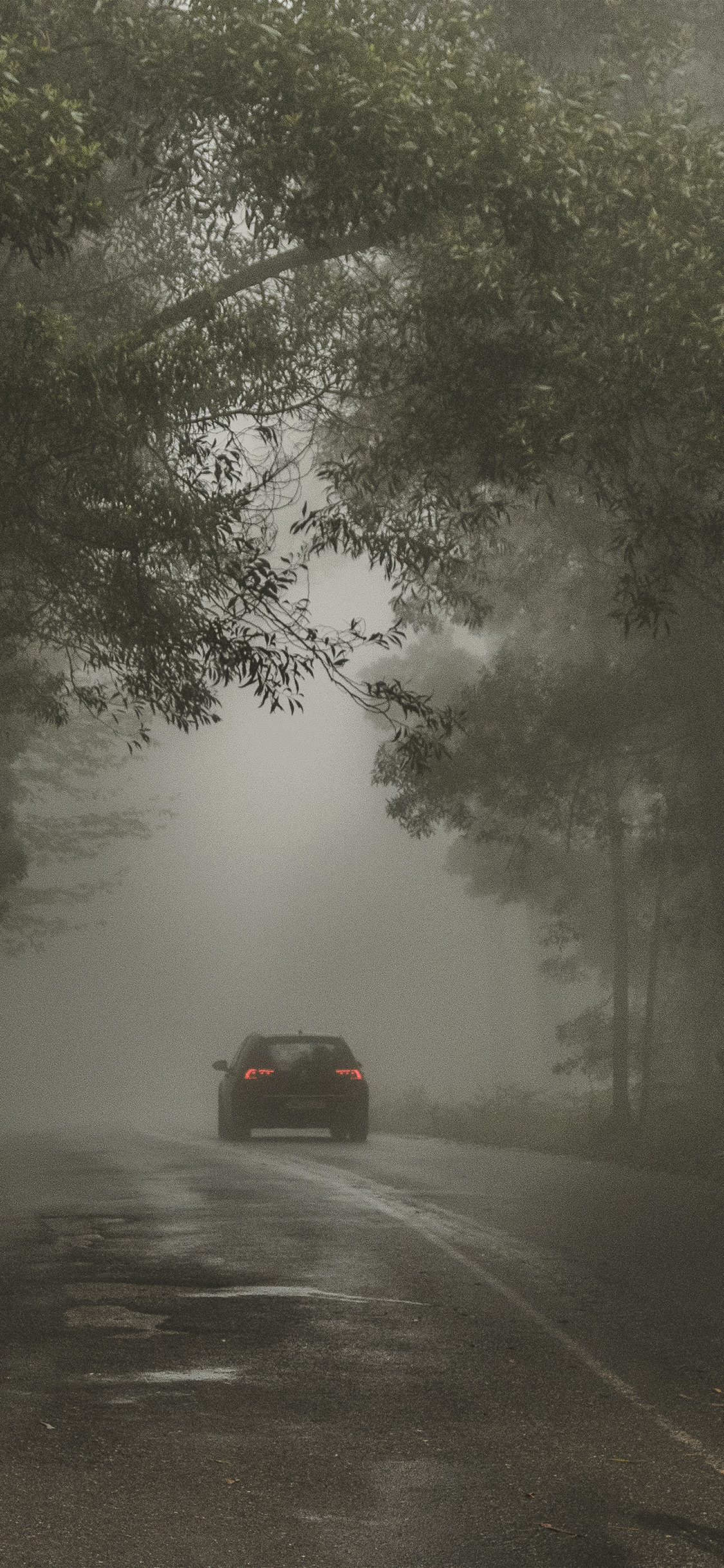 iPhone X wallpaper. forest street wood dark nature car