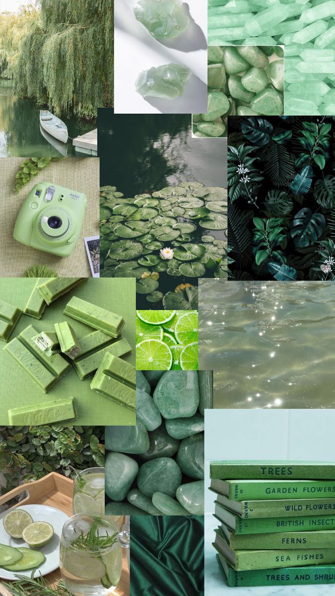 Green Wallpaper. Green aesthetic tumblr, Green wallpaper, Aesthetic pastel wallpaper