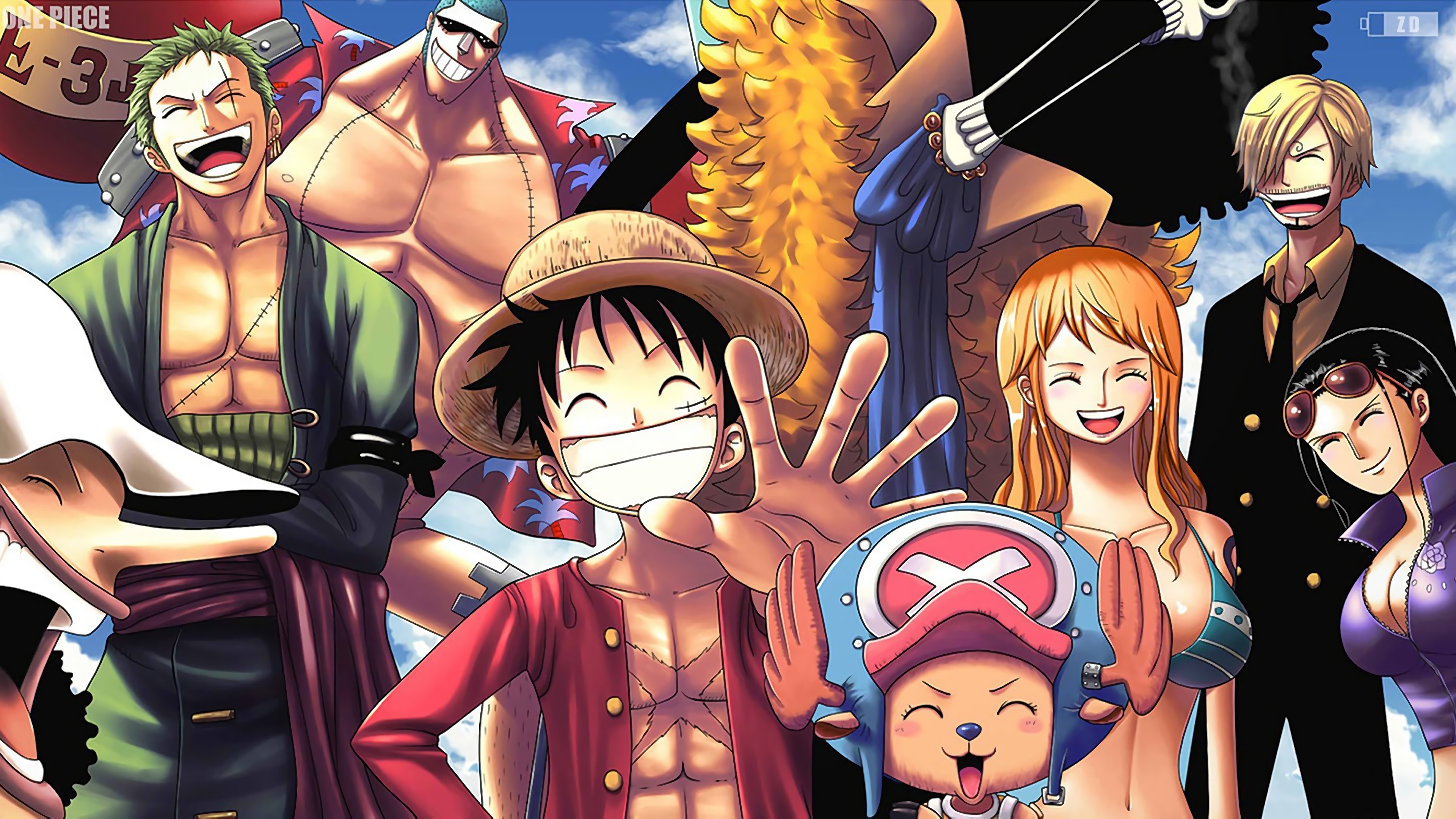 One Piece, Straw Hat Pirates, 4K Gallery HD Wallpaper