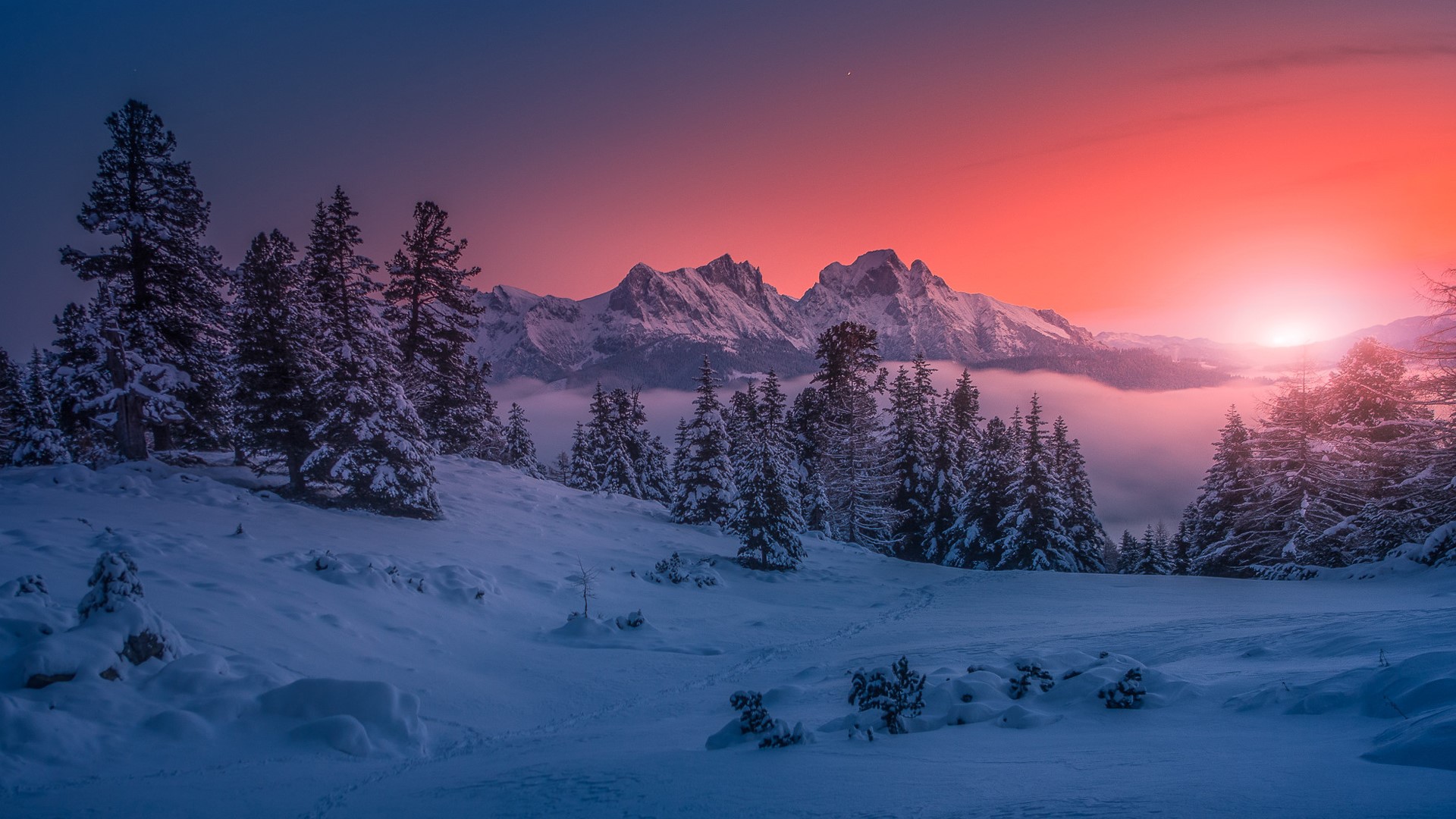 landscape, winter, sunset, nature, snow, cold, forest Gallery HD Wallpaper