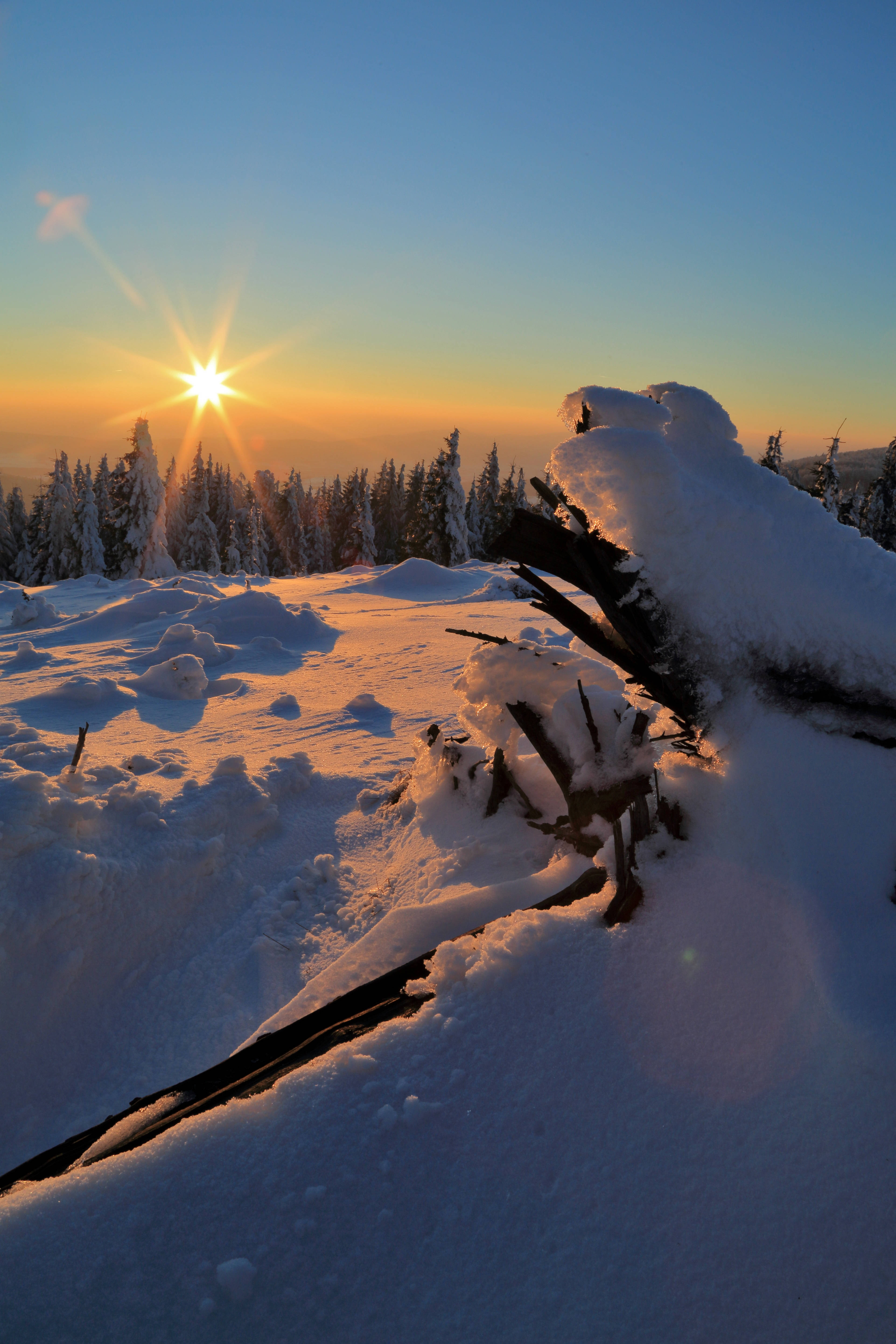 Download Sunset On Winter Wallpaper