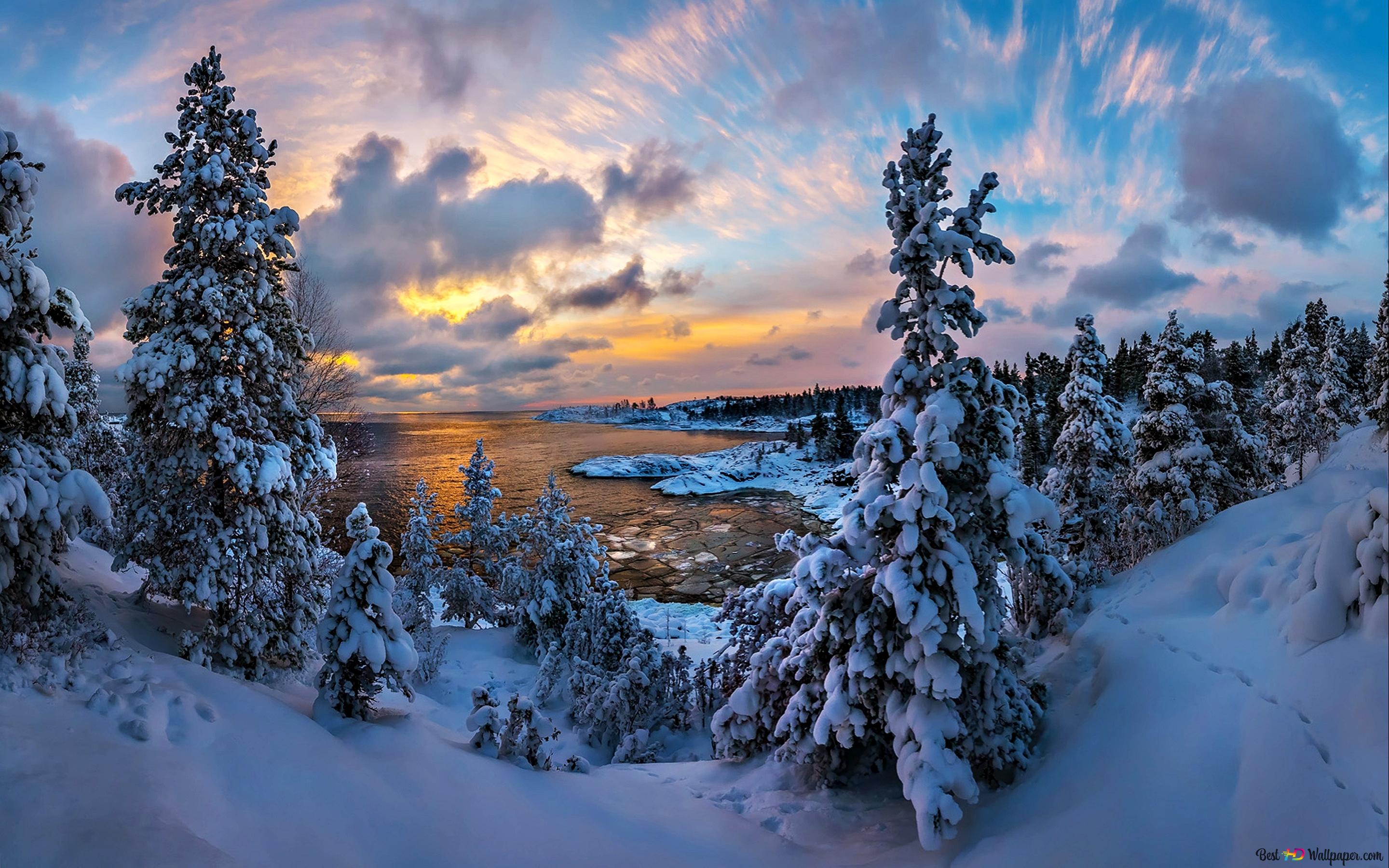 Nature snow trees and sunset 2K wallpaper download