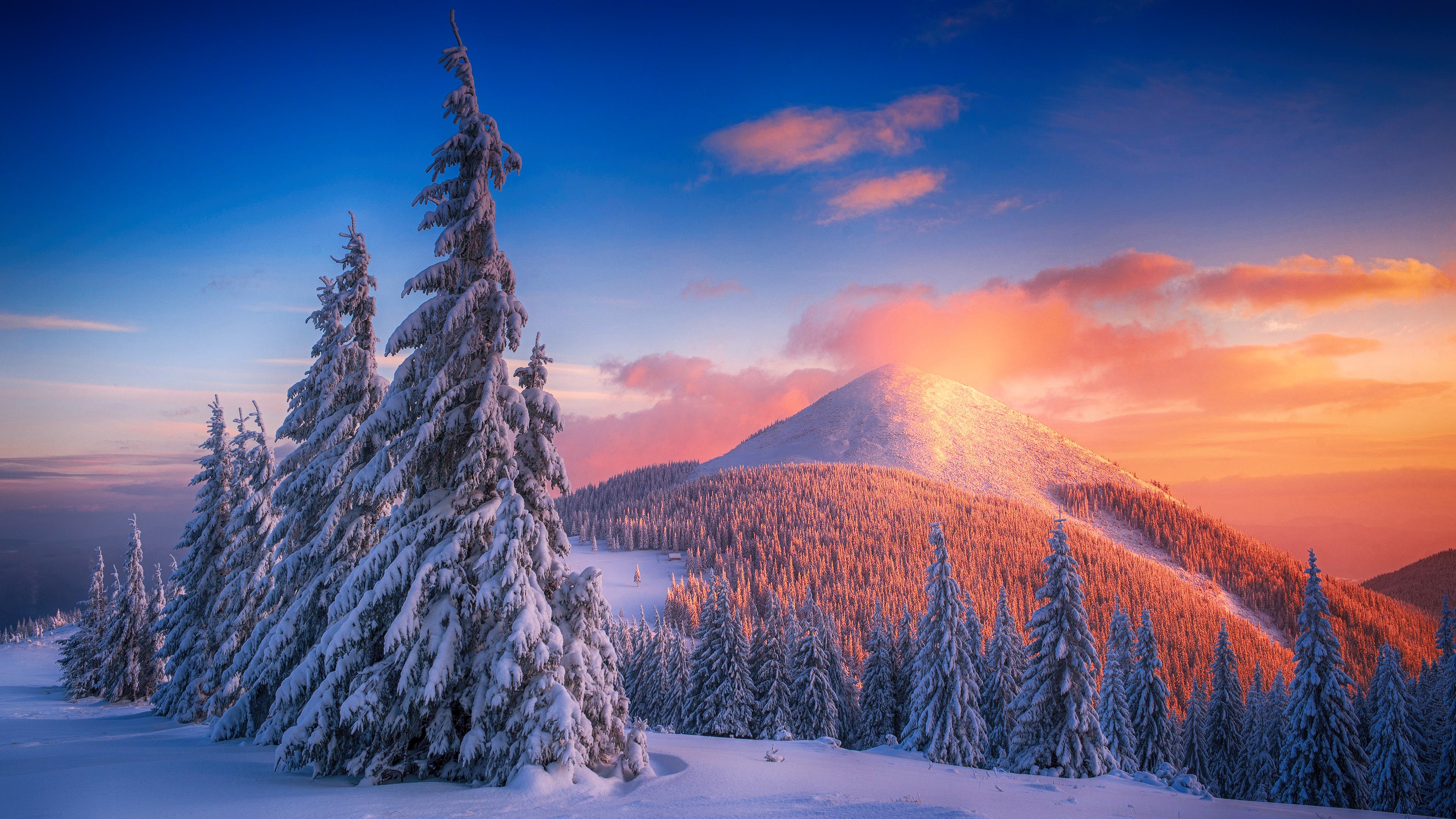 Wallpaper / snow, winter, mountains, sunset, cold, landscape, forest free download